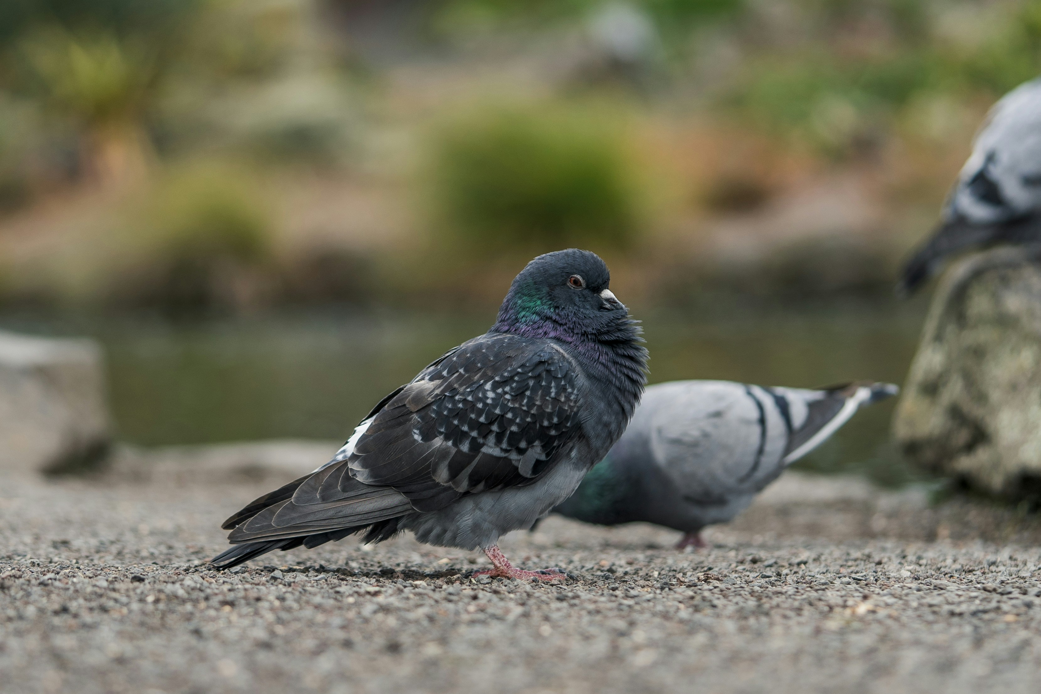 Photo by countingframez