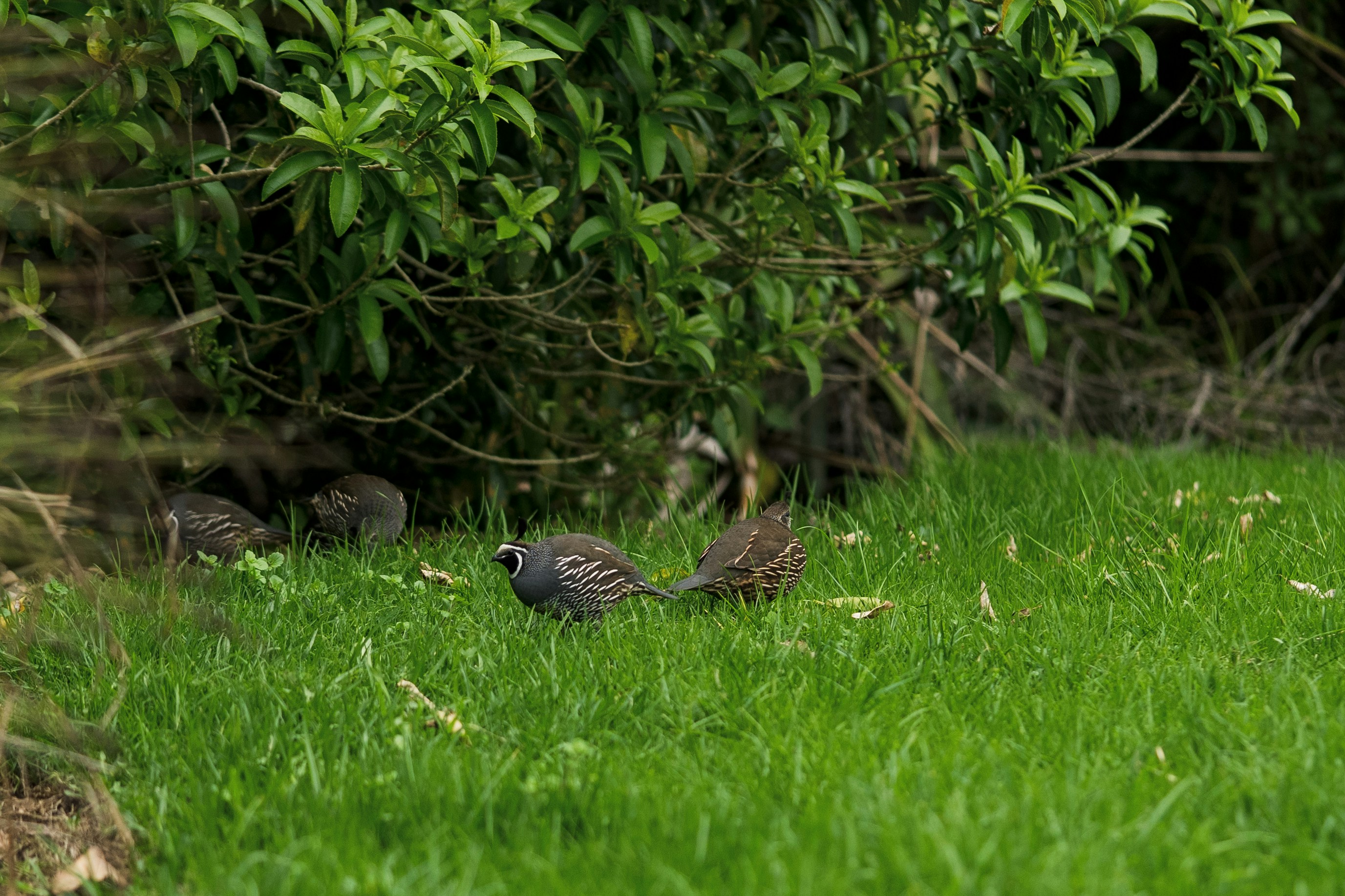 Photo by countingframez