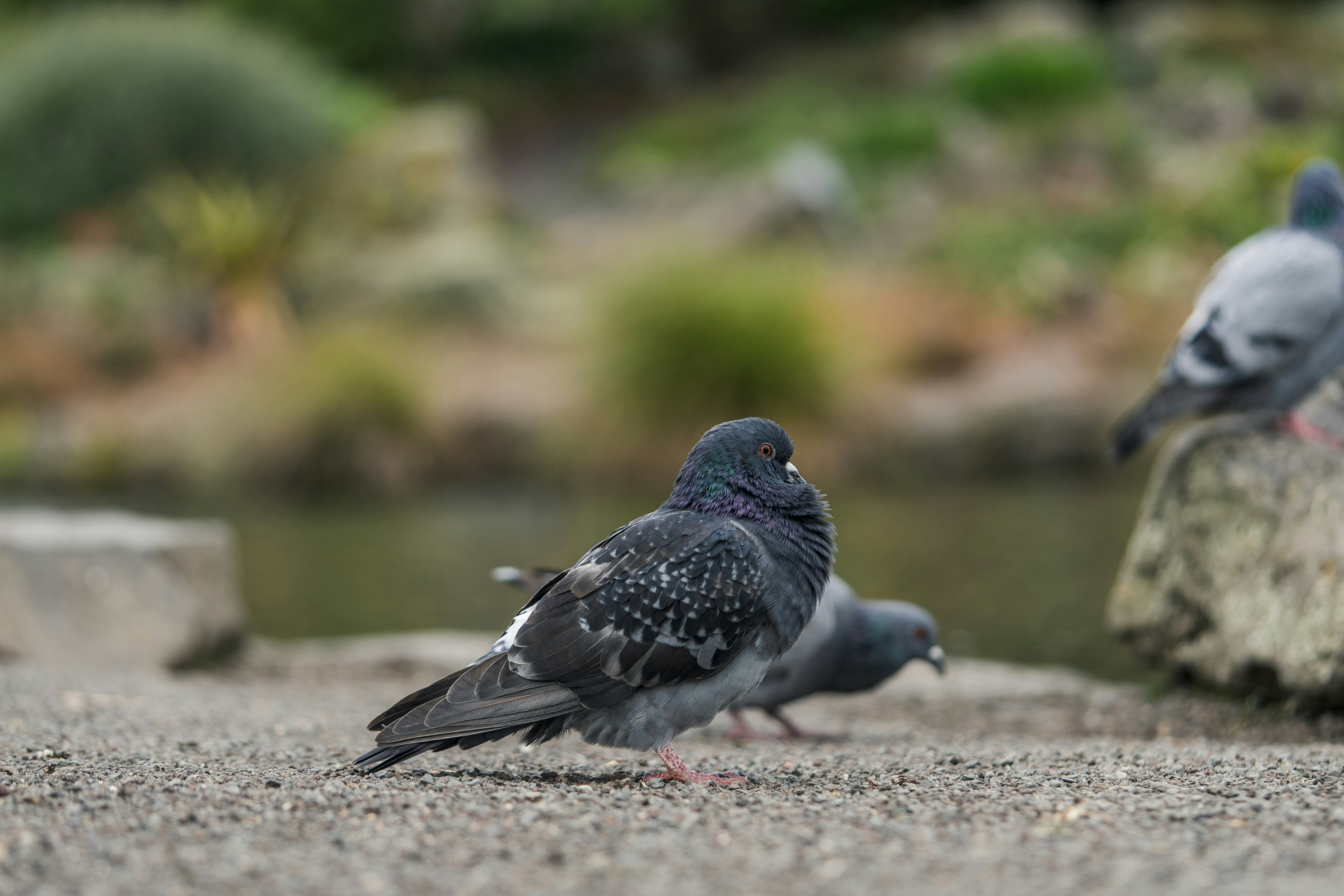 Photo by countingframez