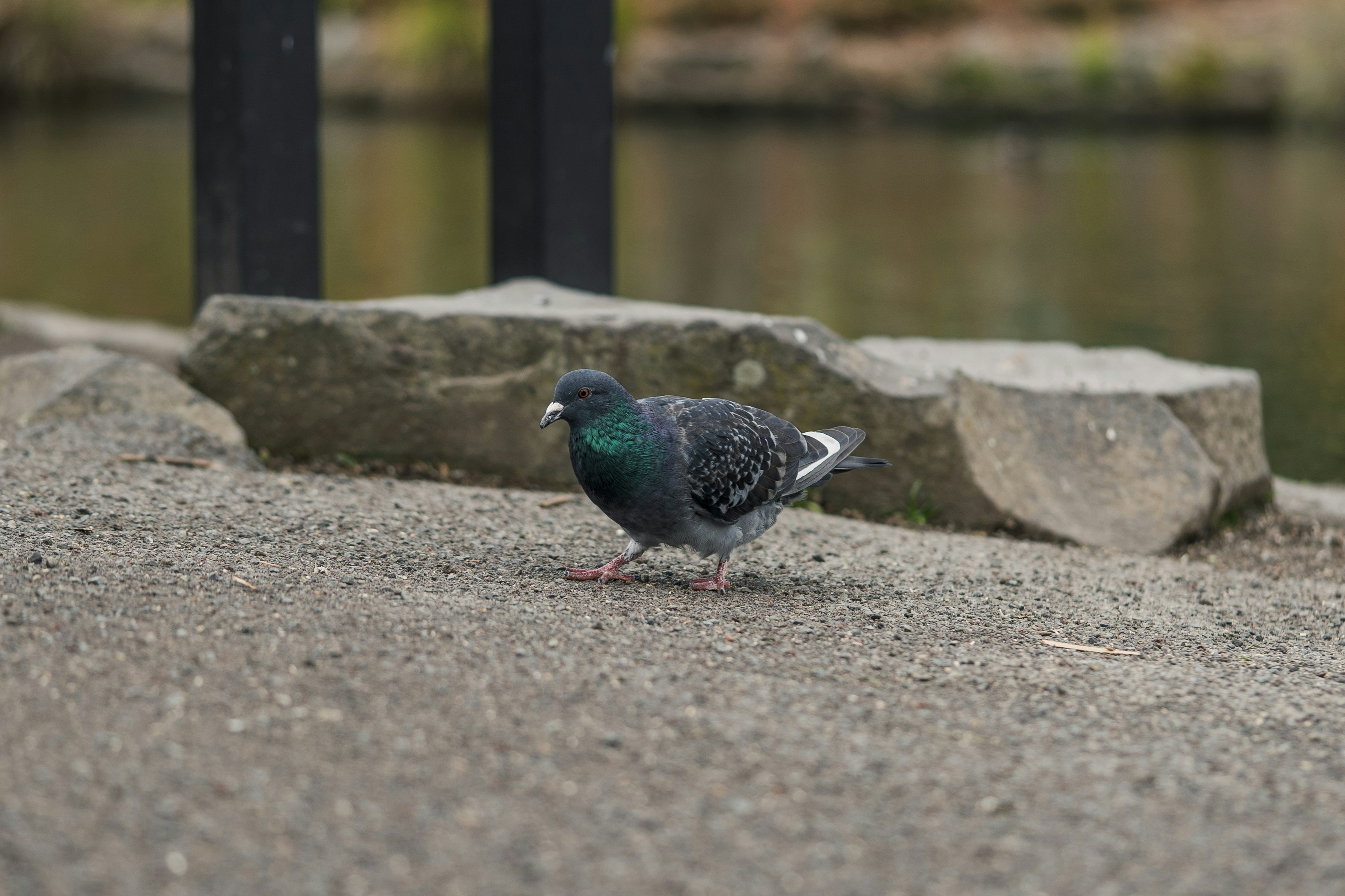 Photo by countingframez