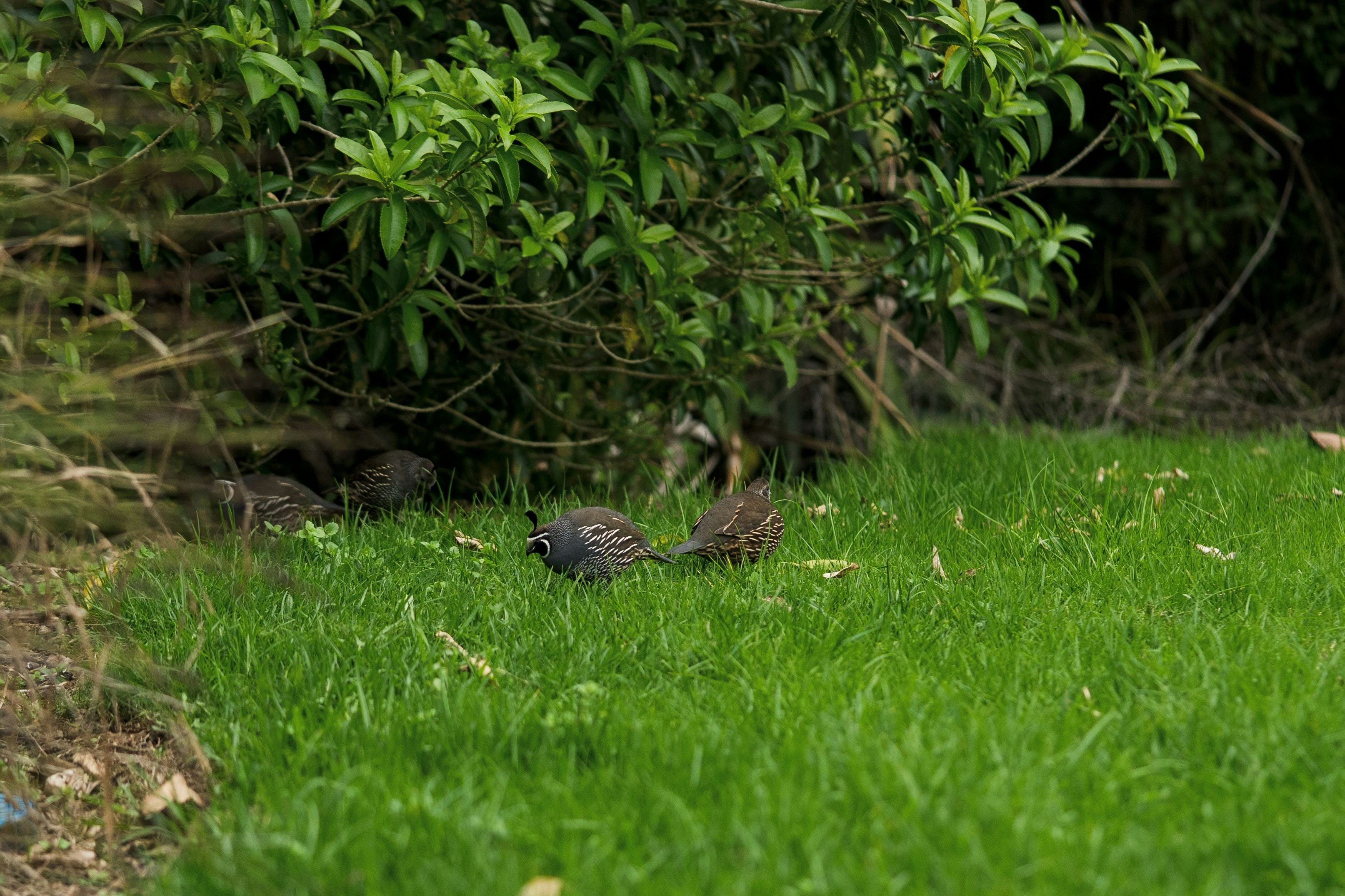 Photo by countingframez