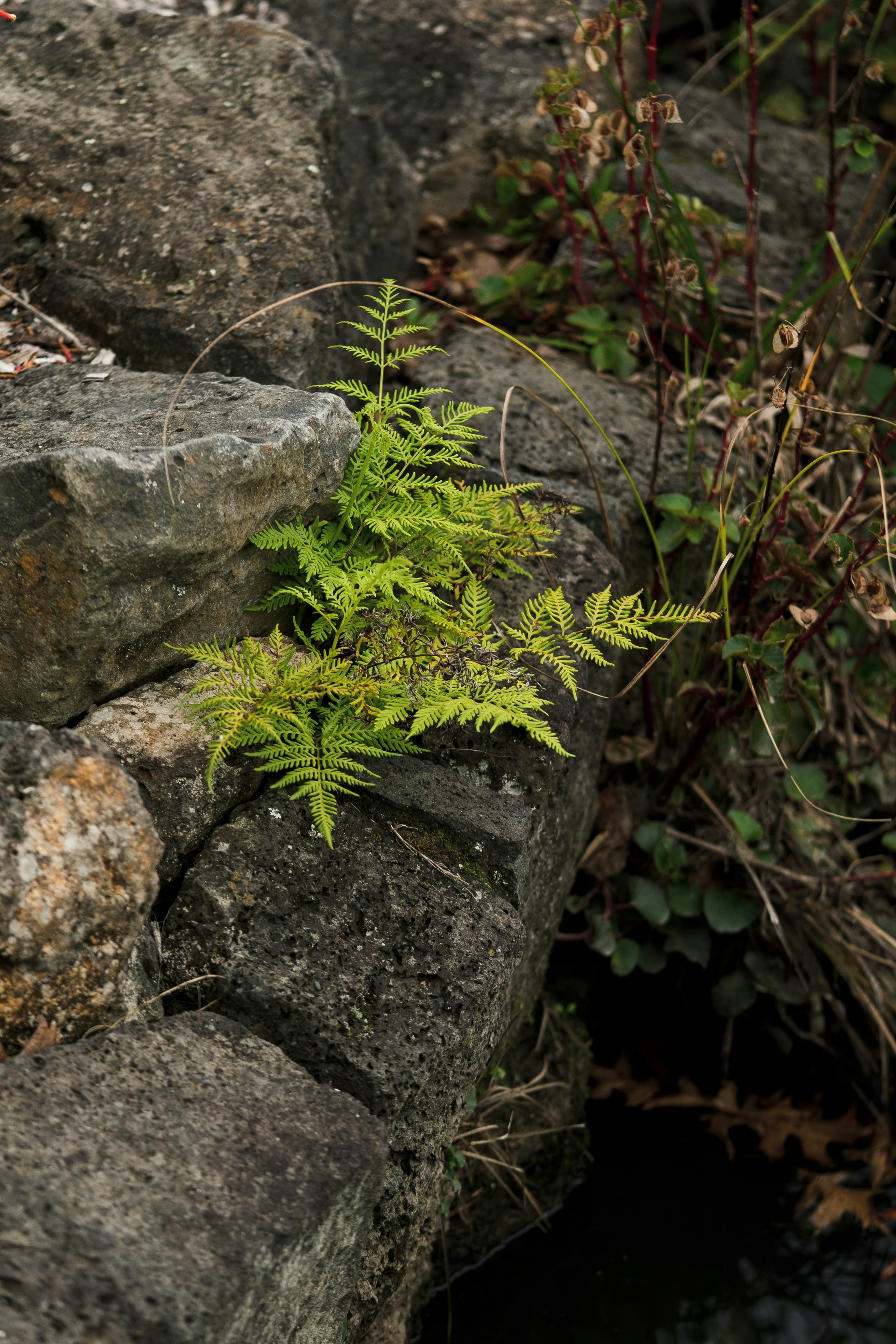 Photo by countingframez