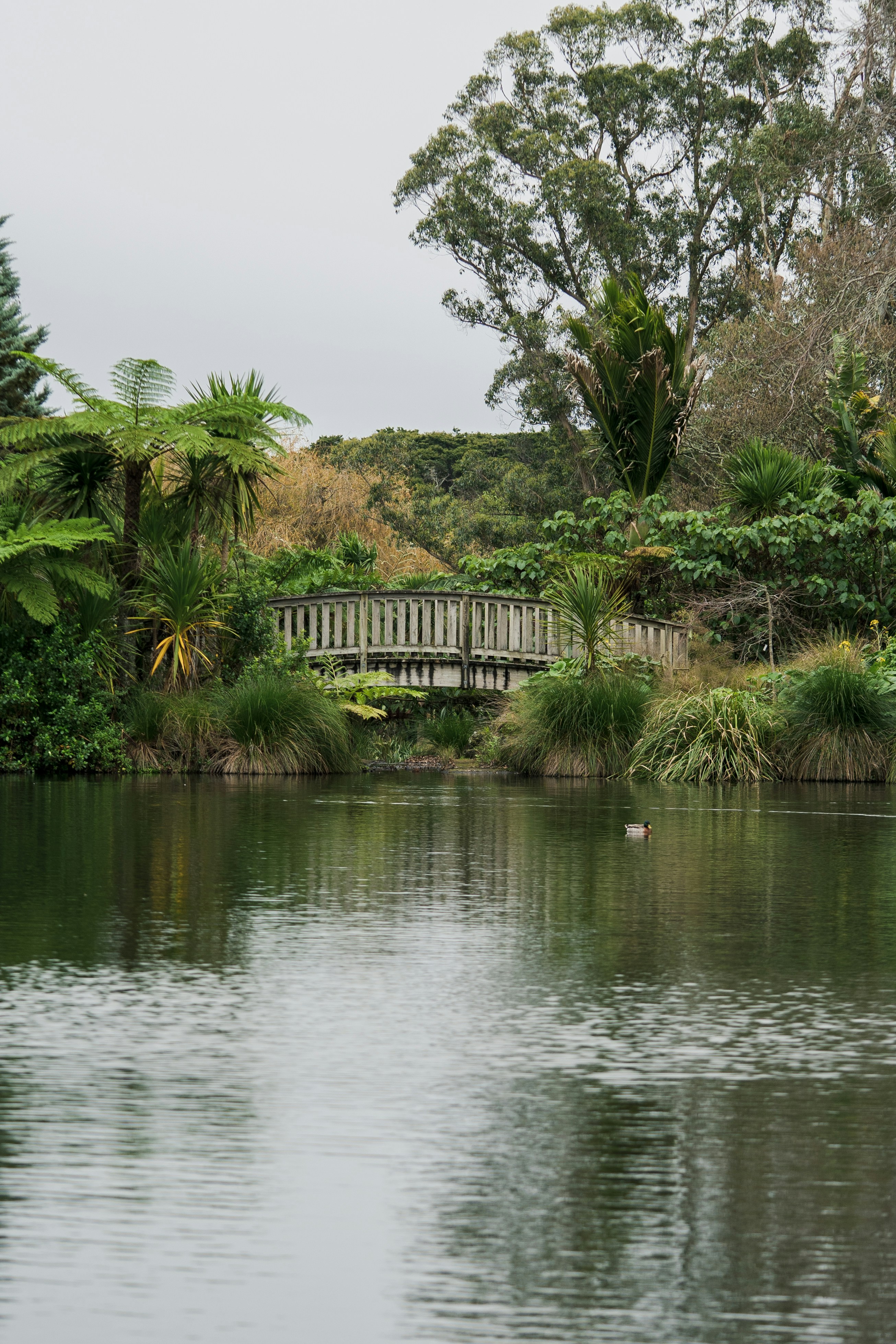 Photo by countingframez