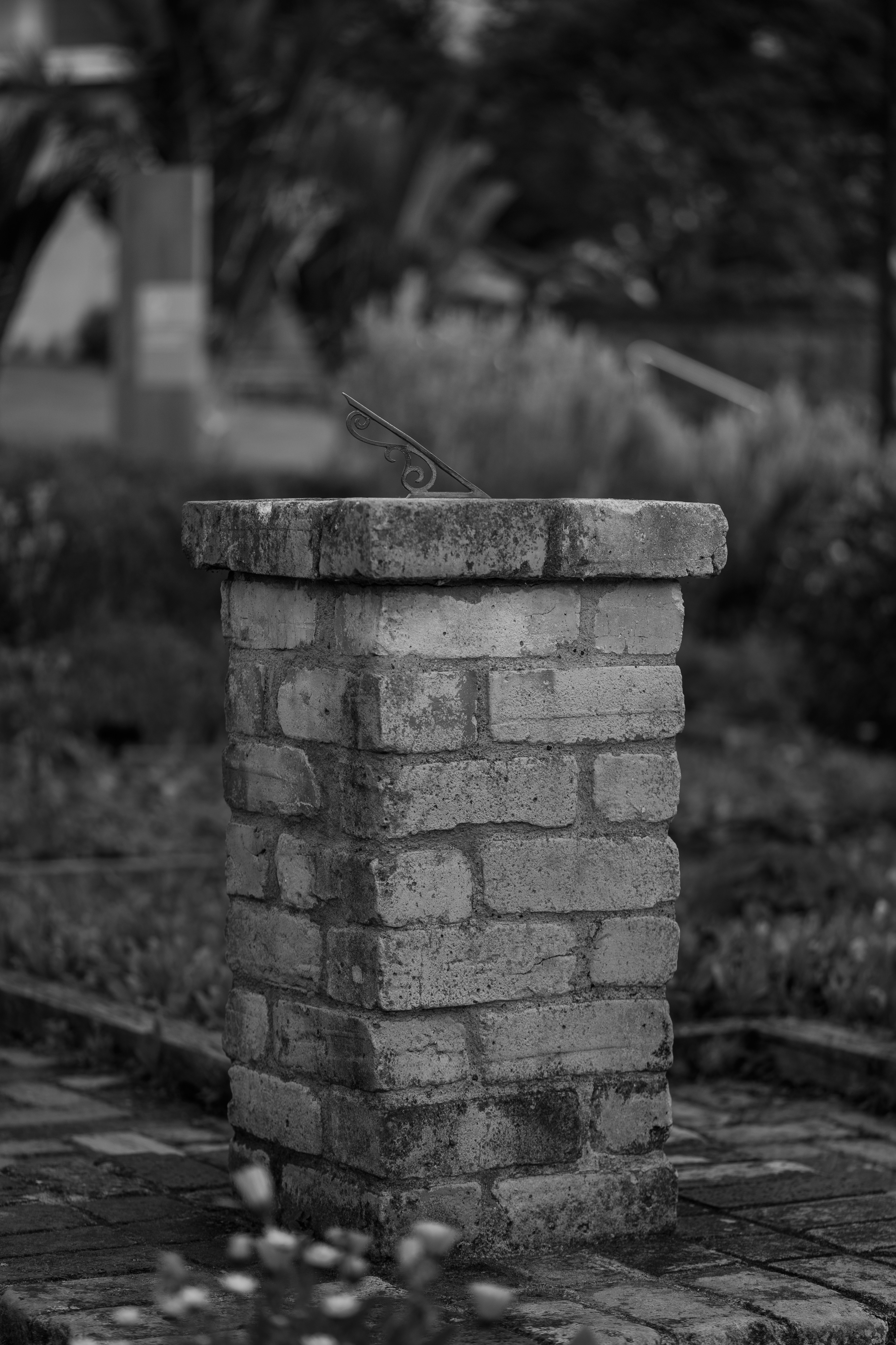 Photo by countingframez