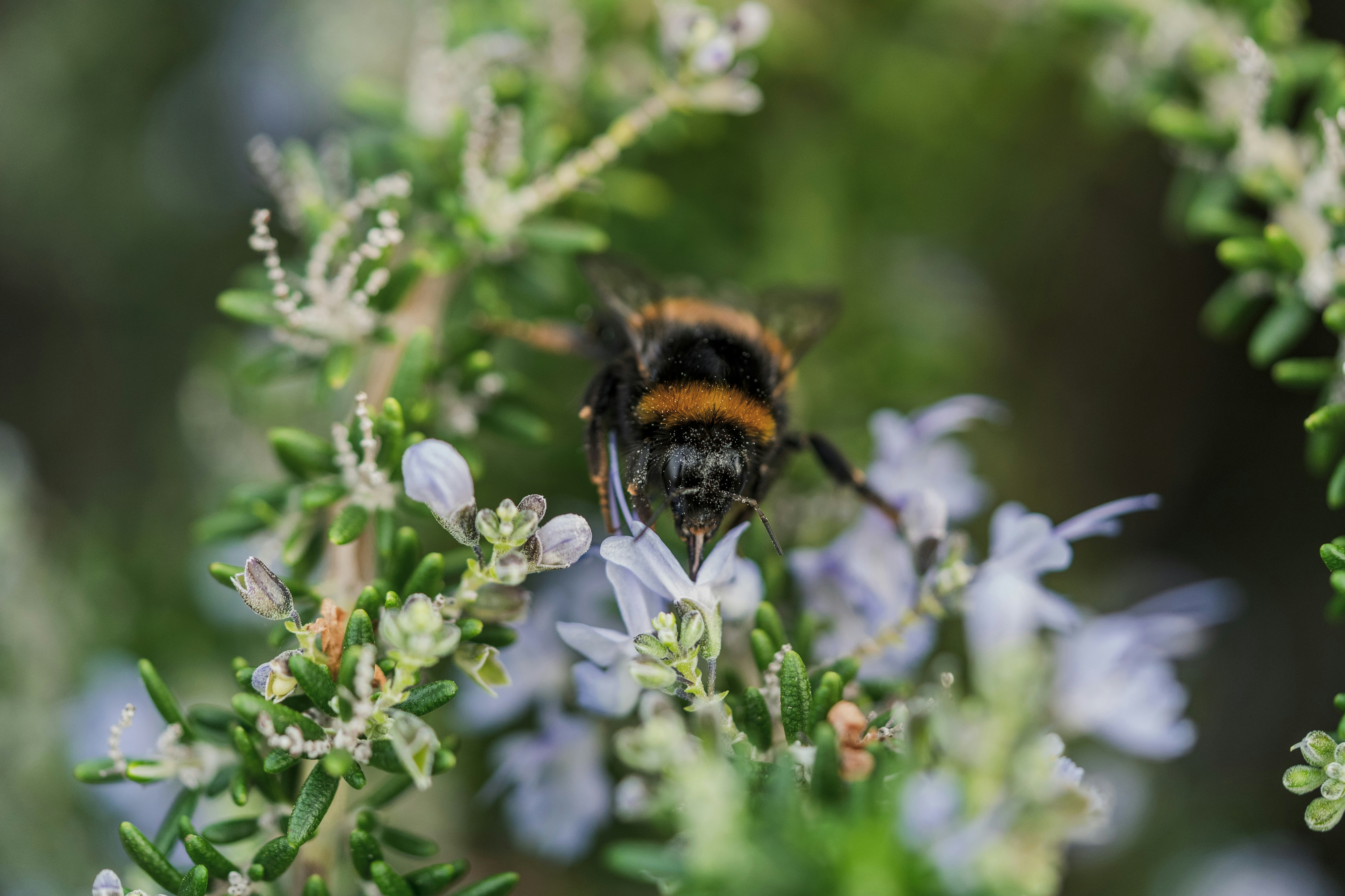 Photo by countingframez