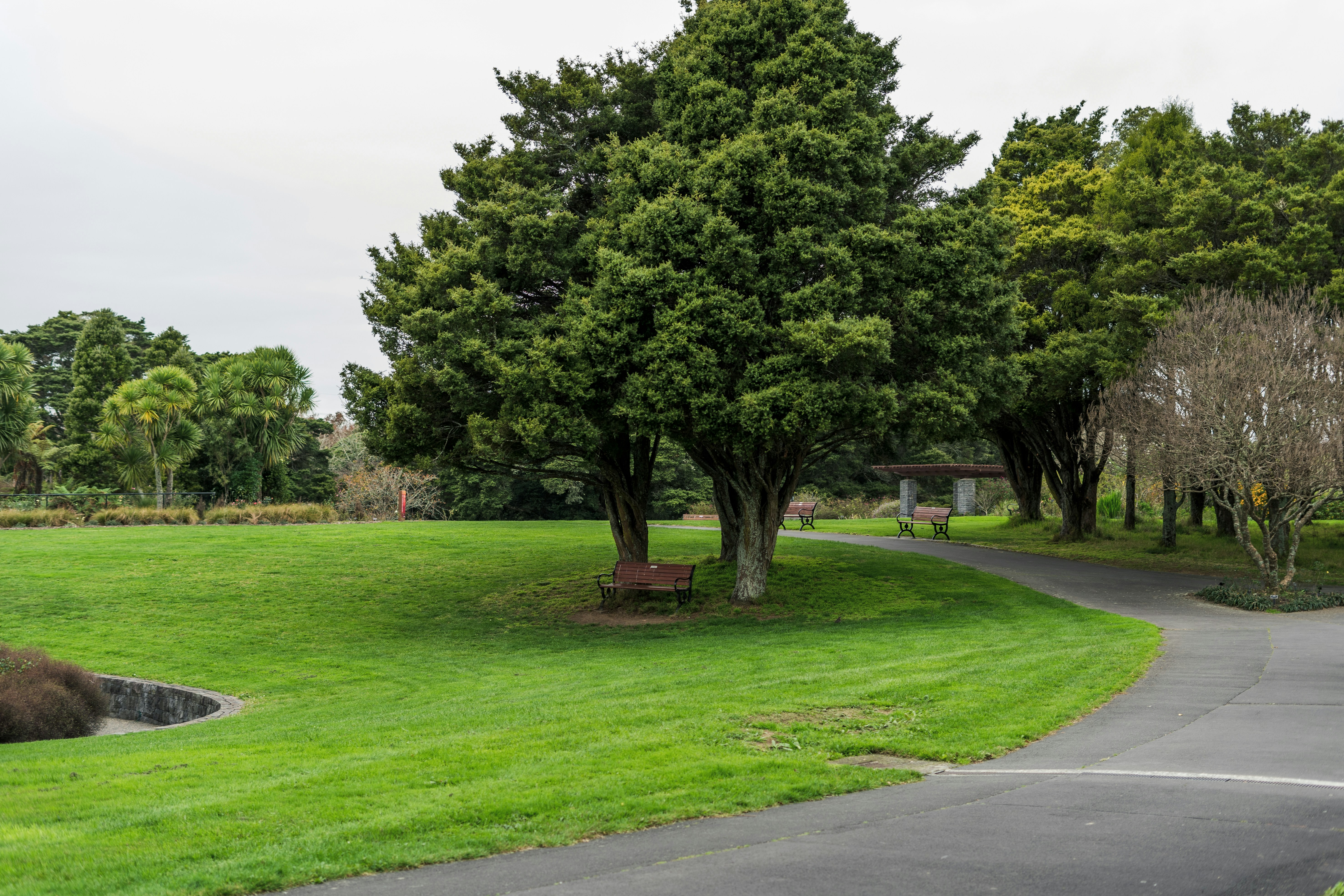 Awhitu Golf Course