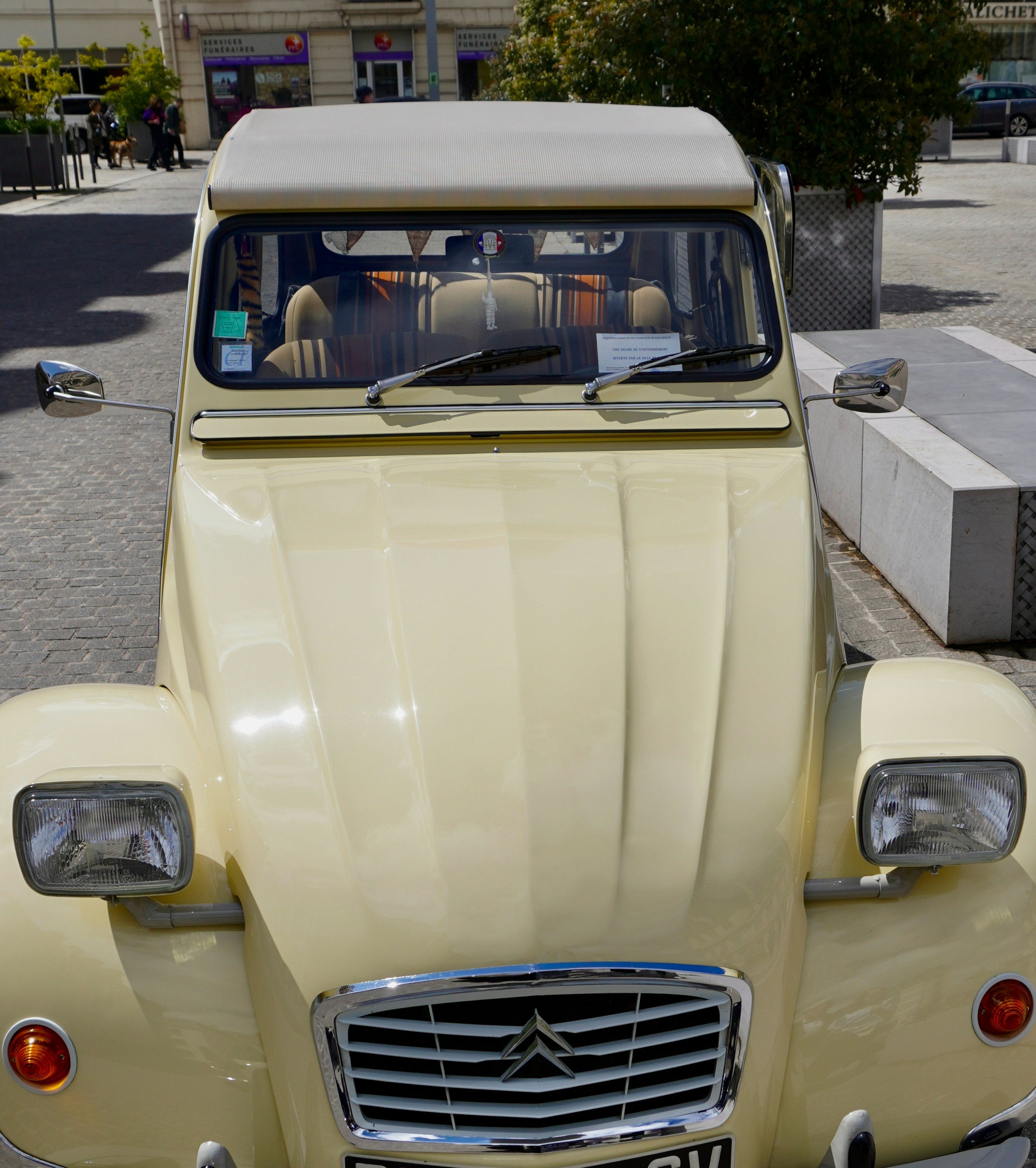 Photo by peterburdon