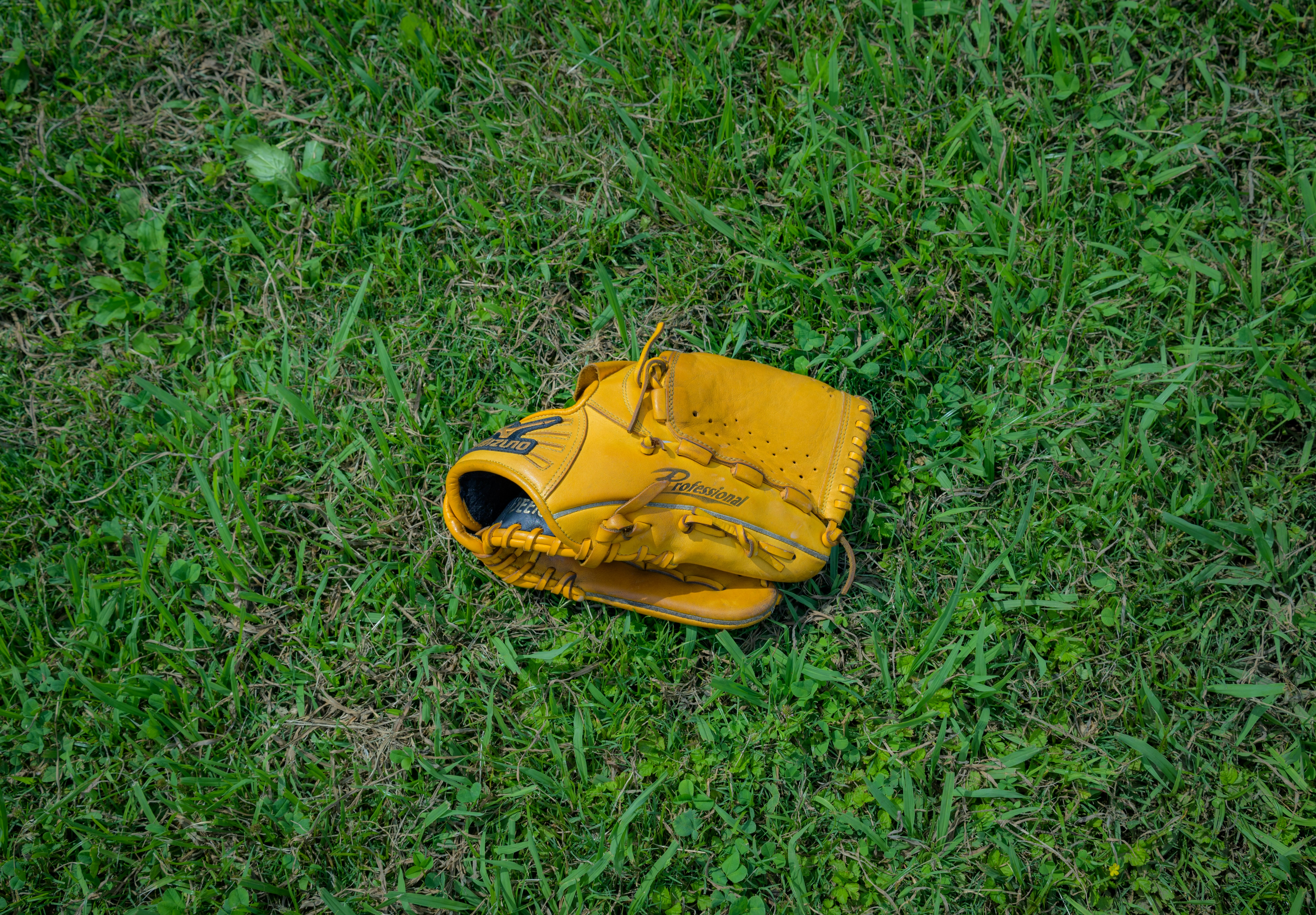 Photo by pabroyumar16