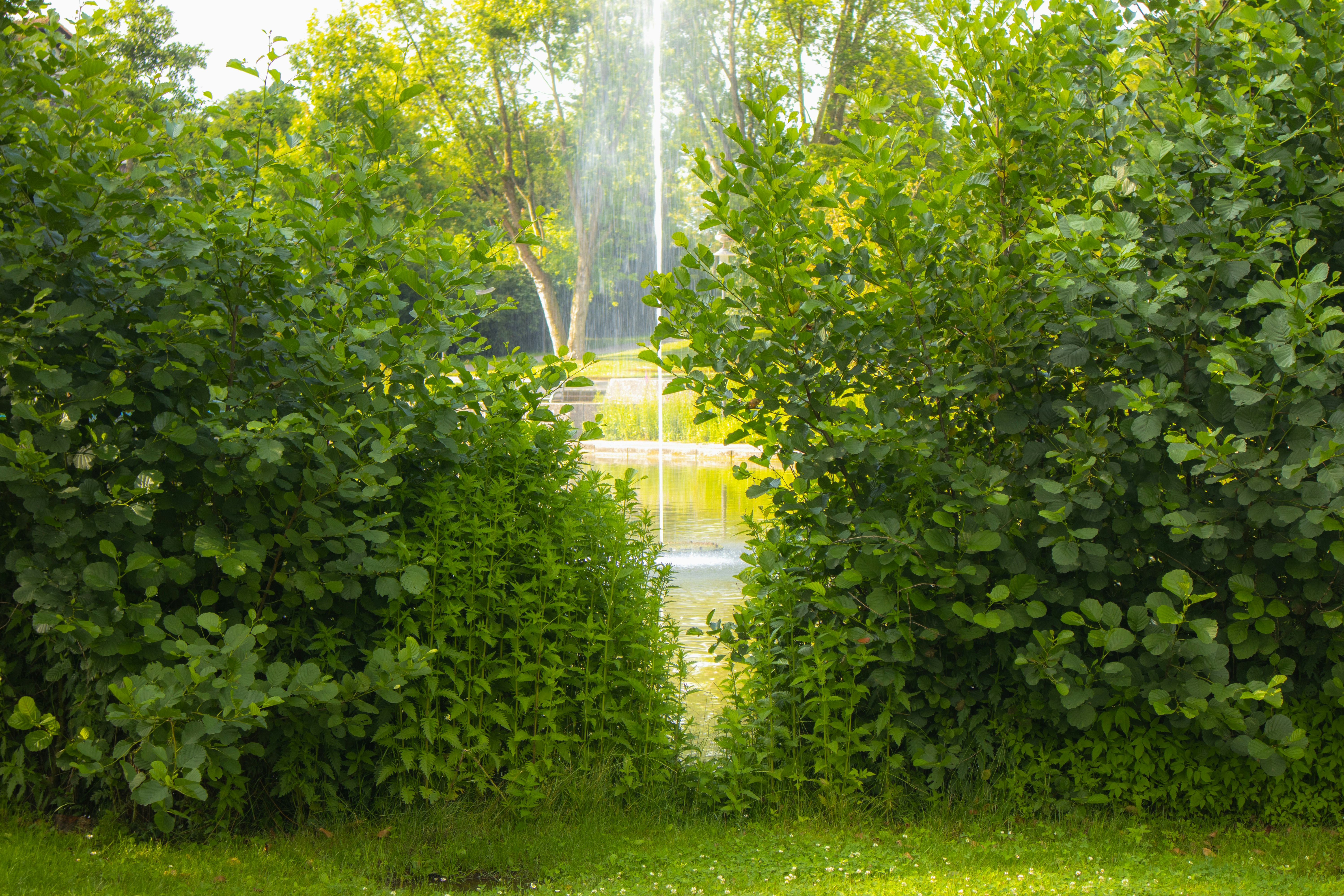 Photo by marko_lengyel