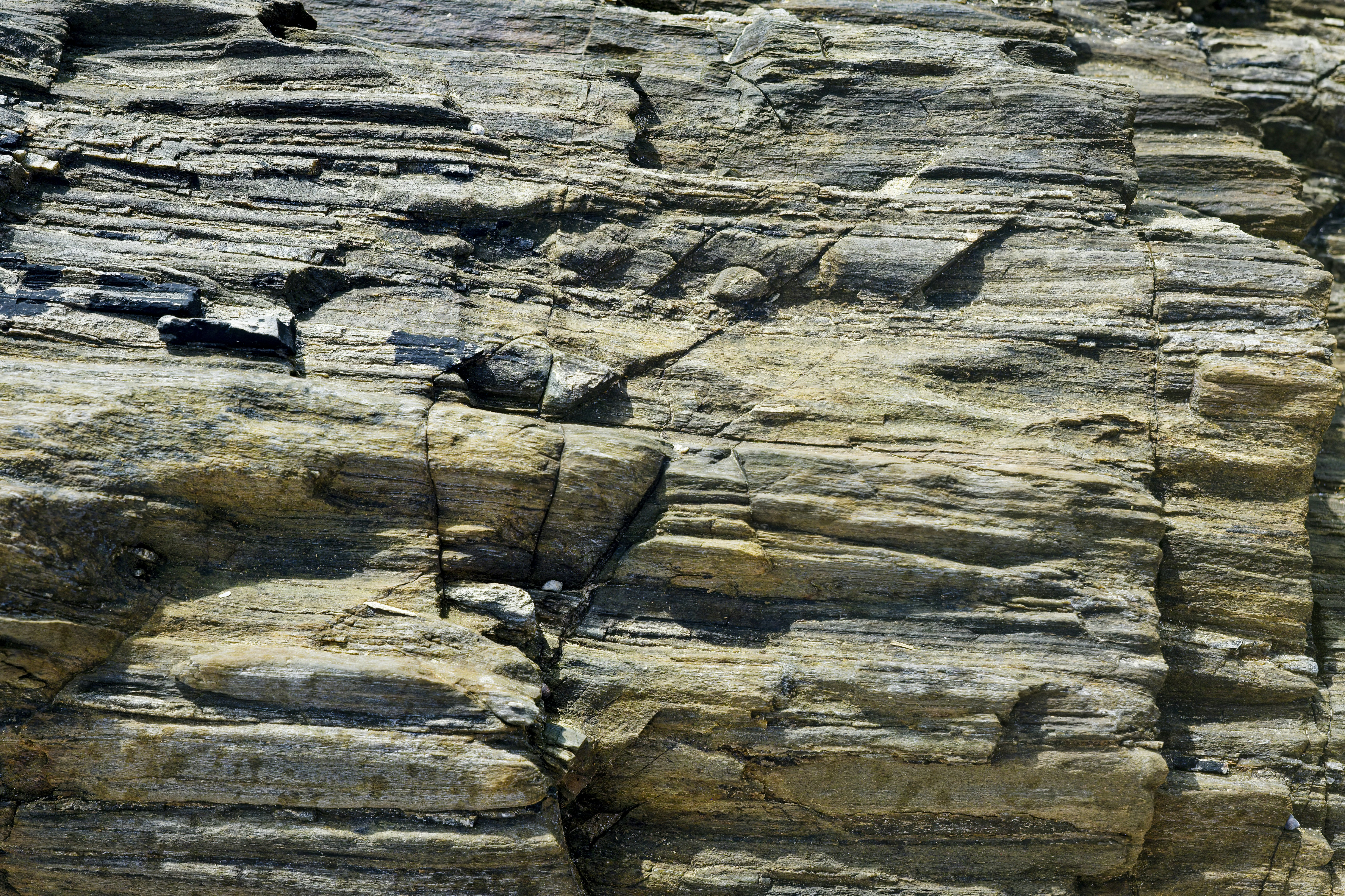 A bird is perched on a rock formation