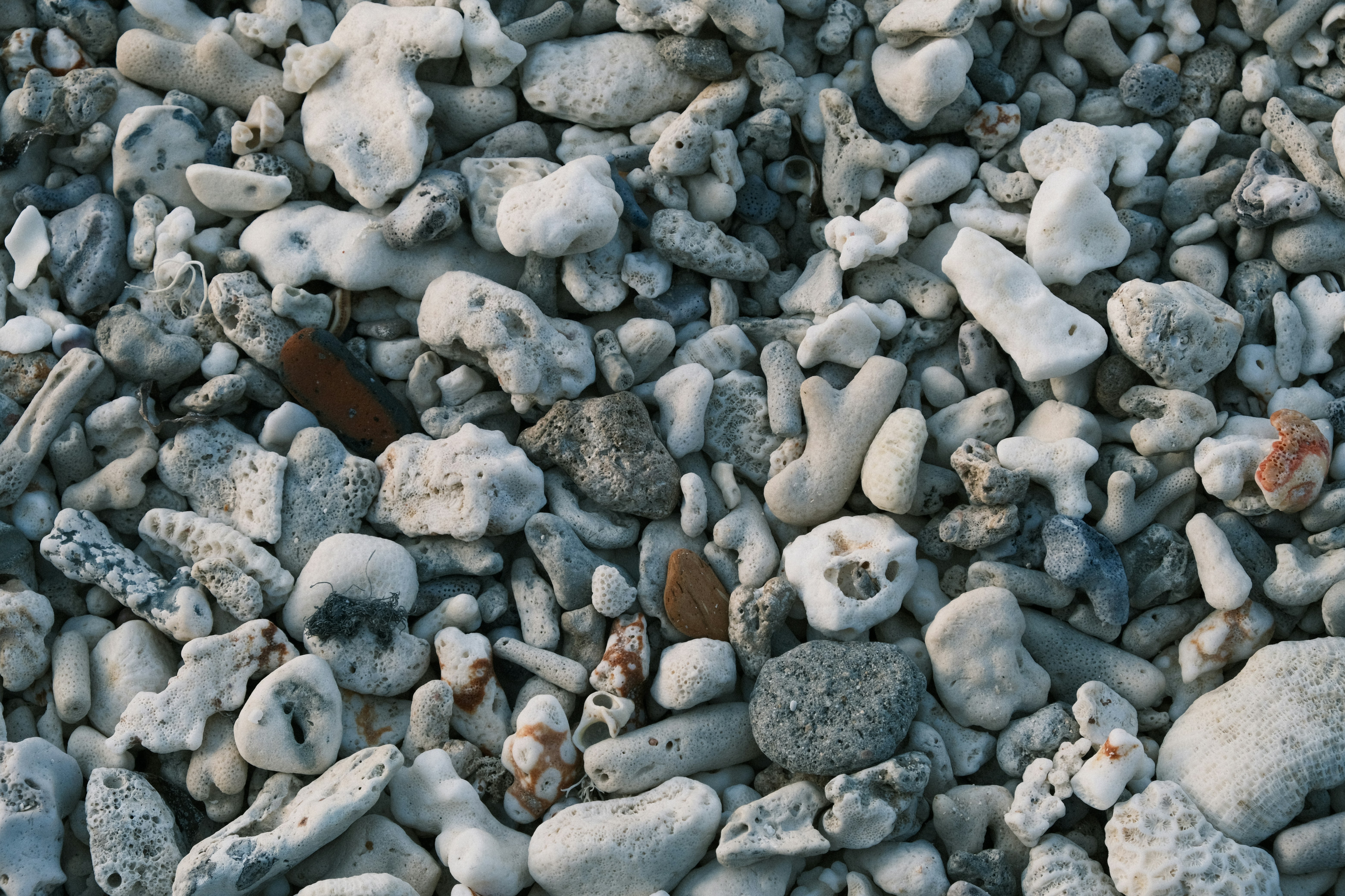 Photo by dvhoang2106