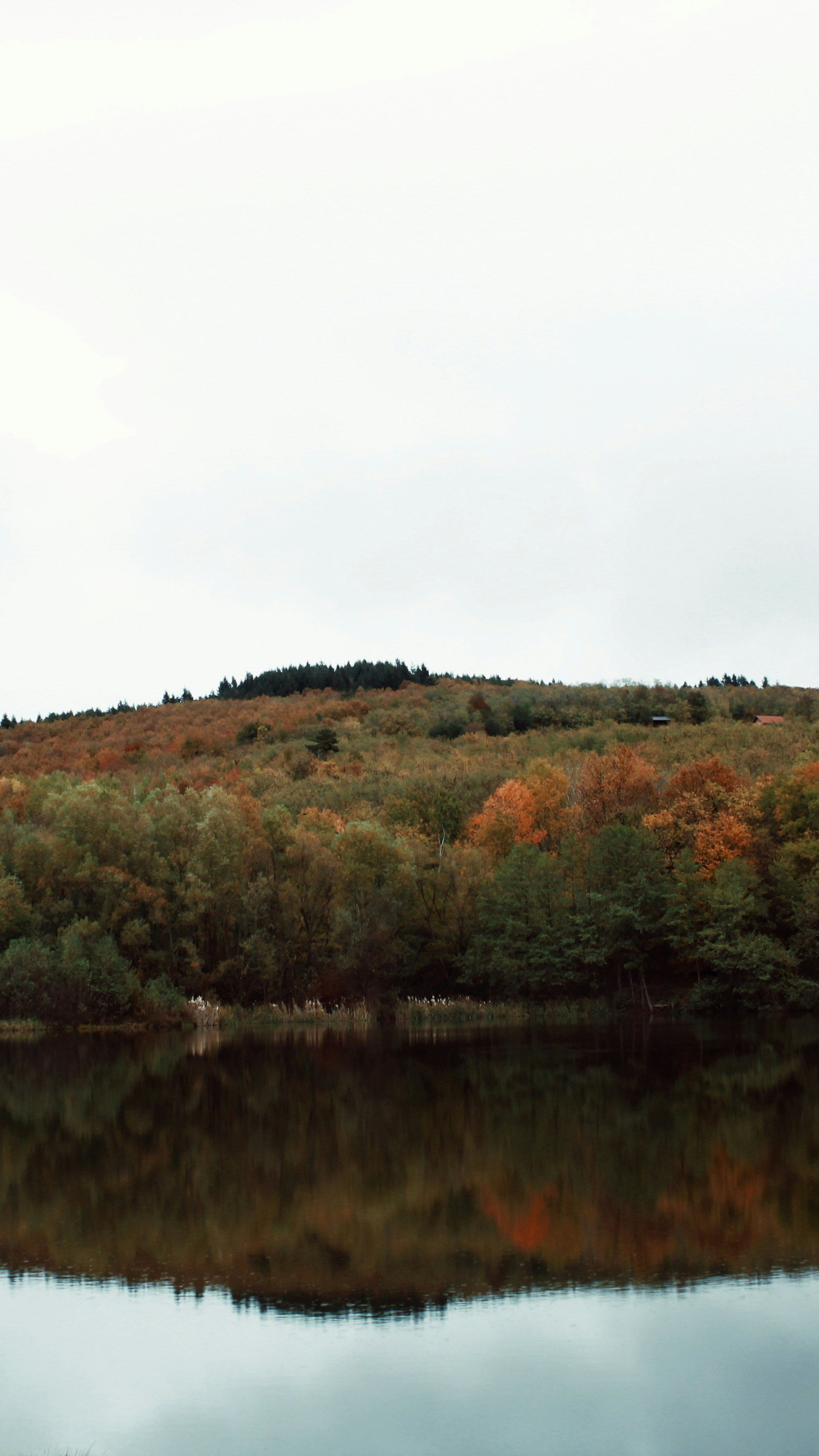 Photo by ineskopu