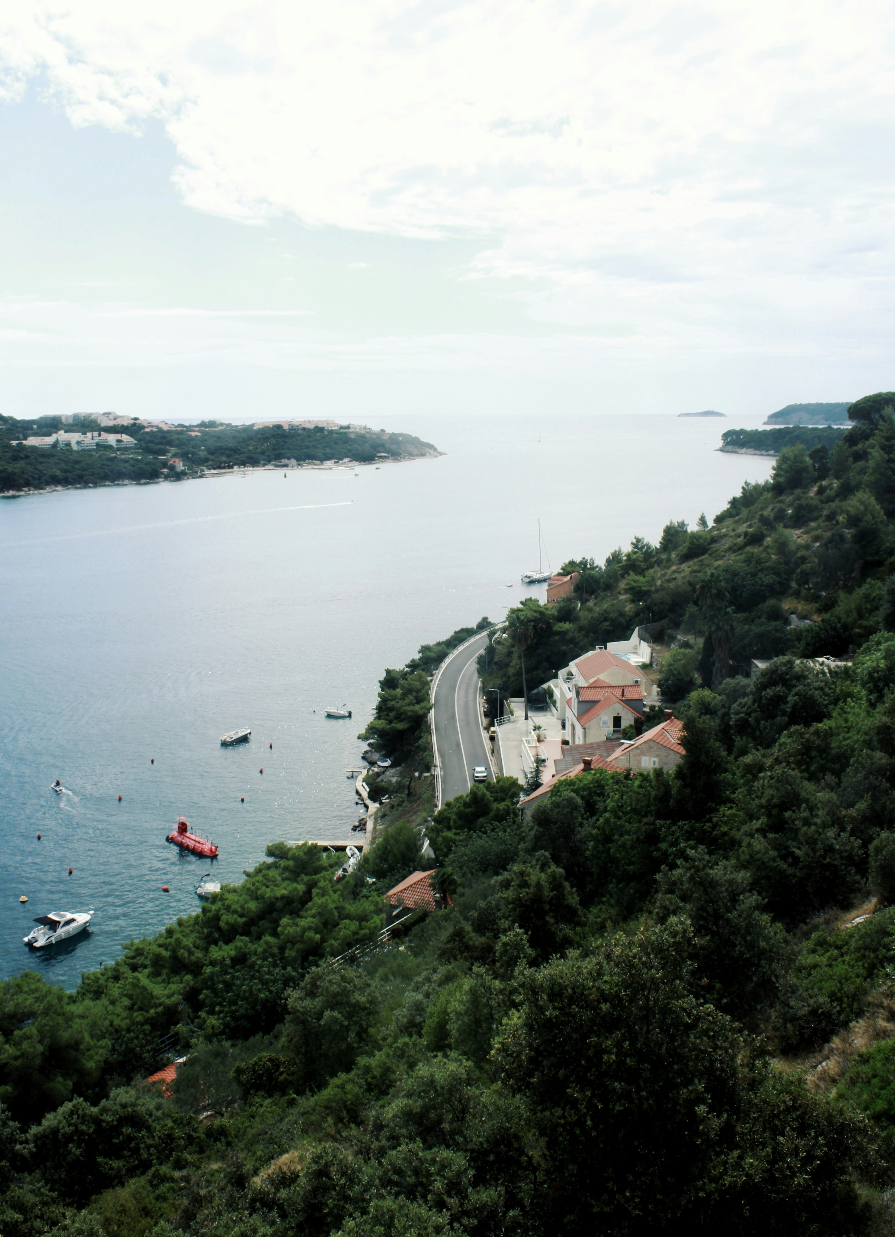 Ticket Types, Vehicle Transport, and What the Categories Mean