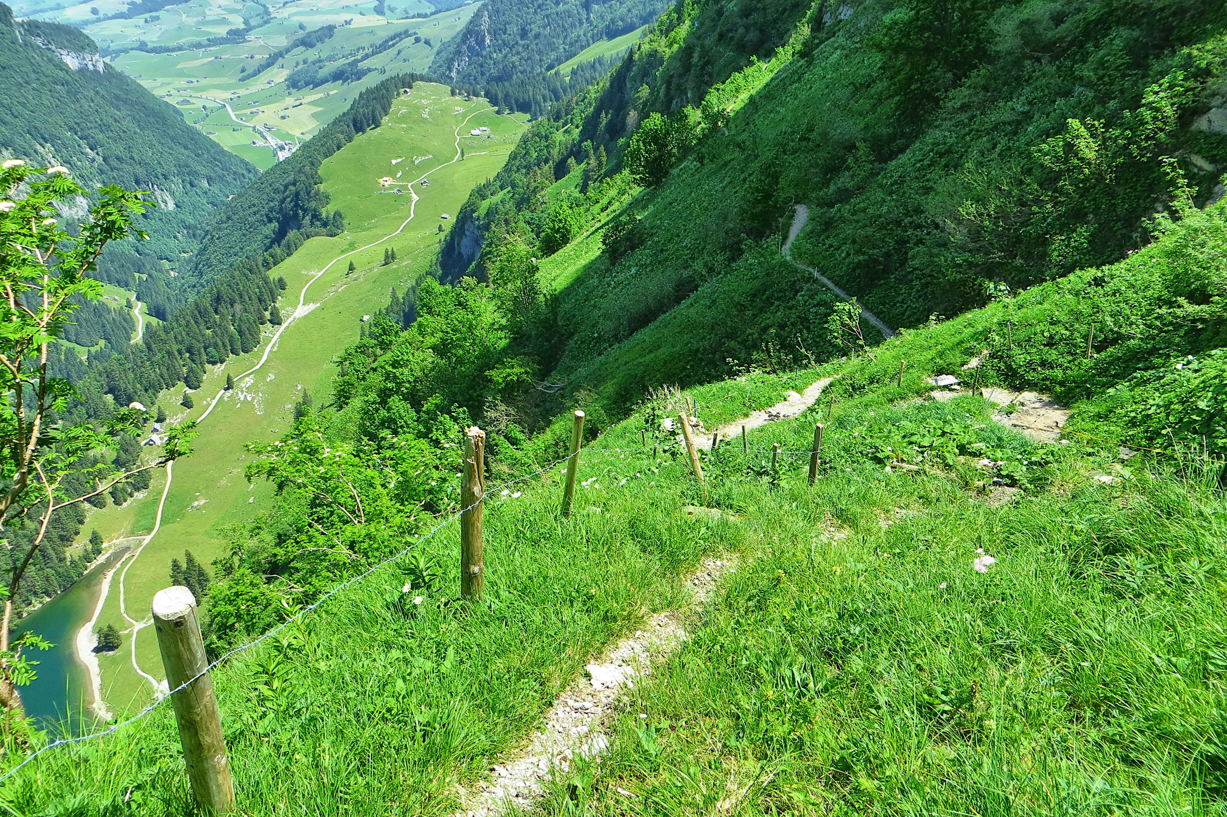 A view of a valley with mountains in the background