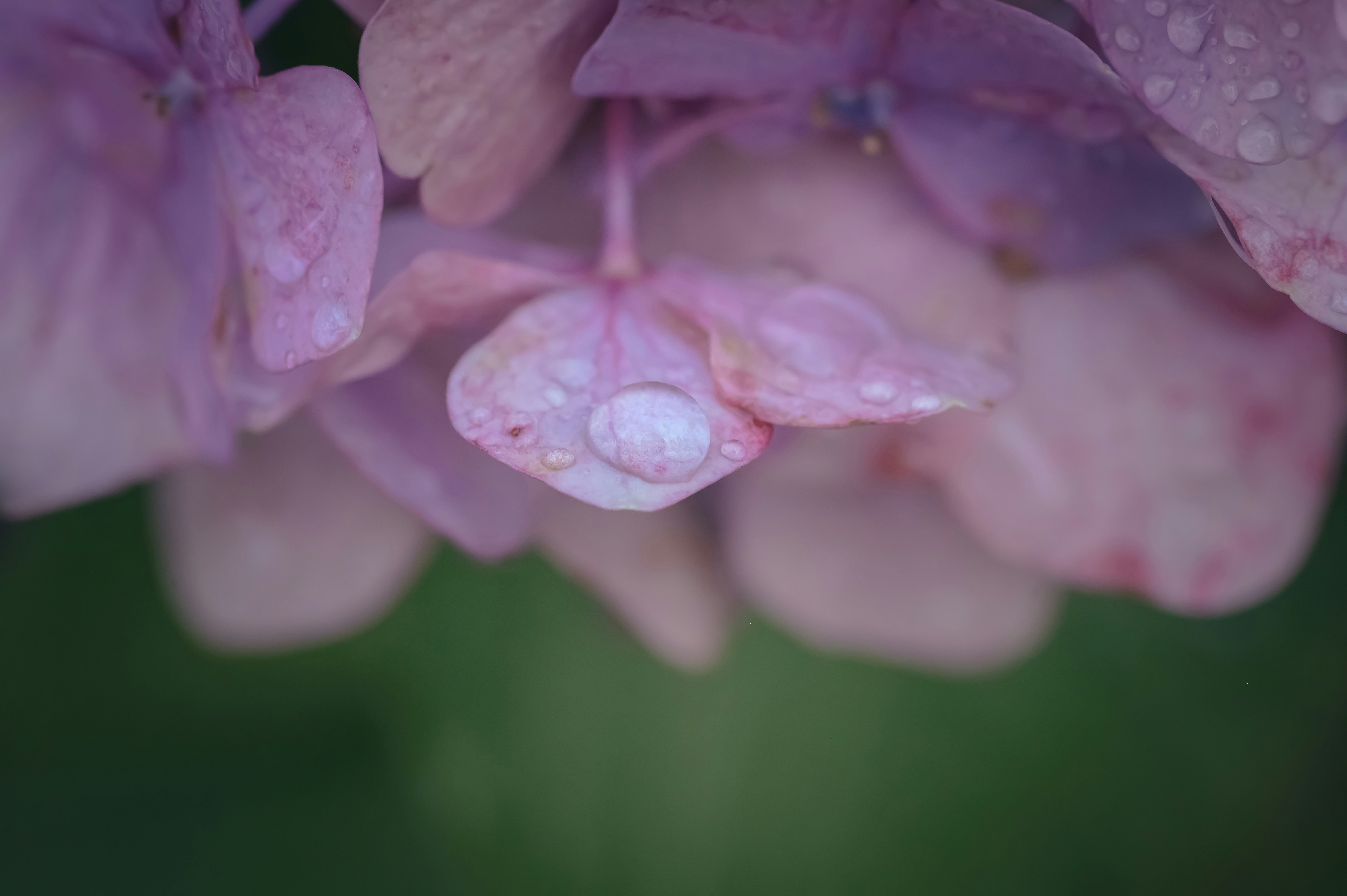 Photo by hayato_no_kiroku