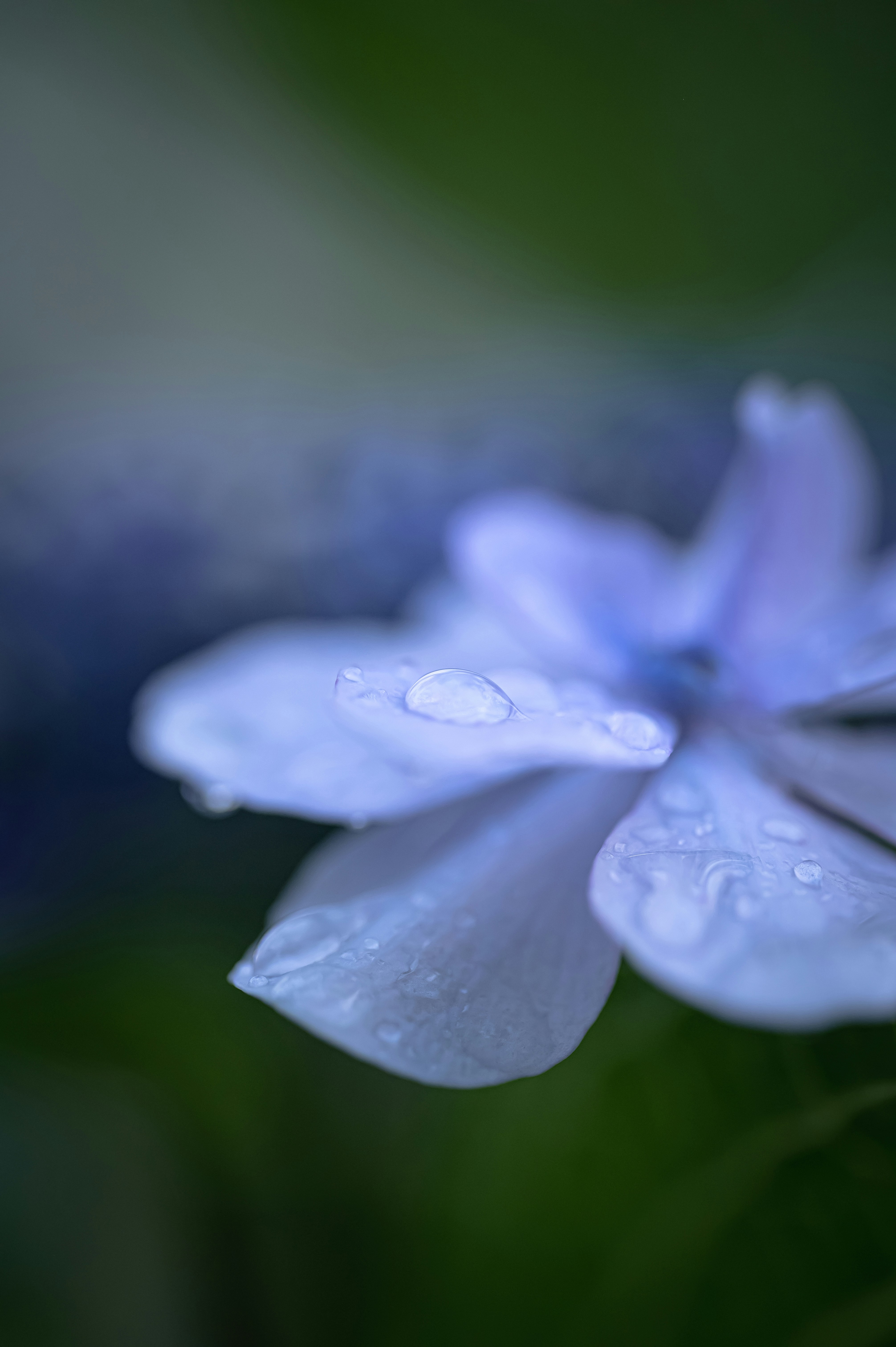 Photo by hayato_no_kiroku