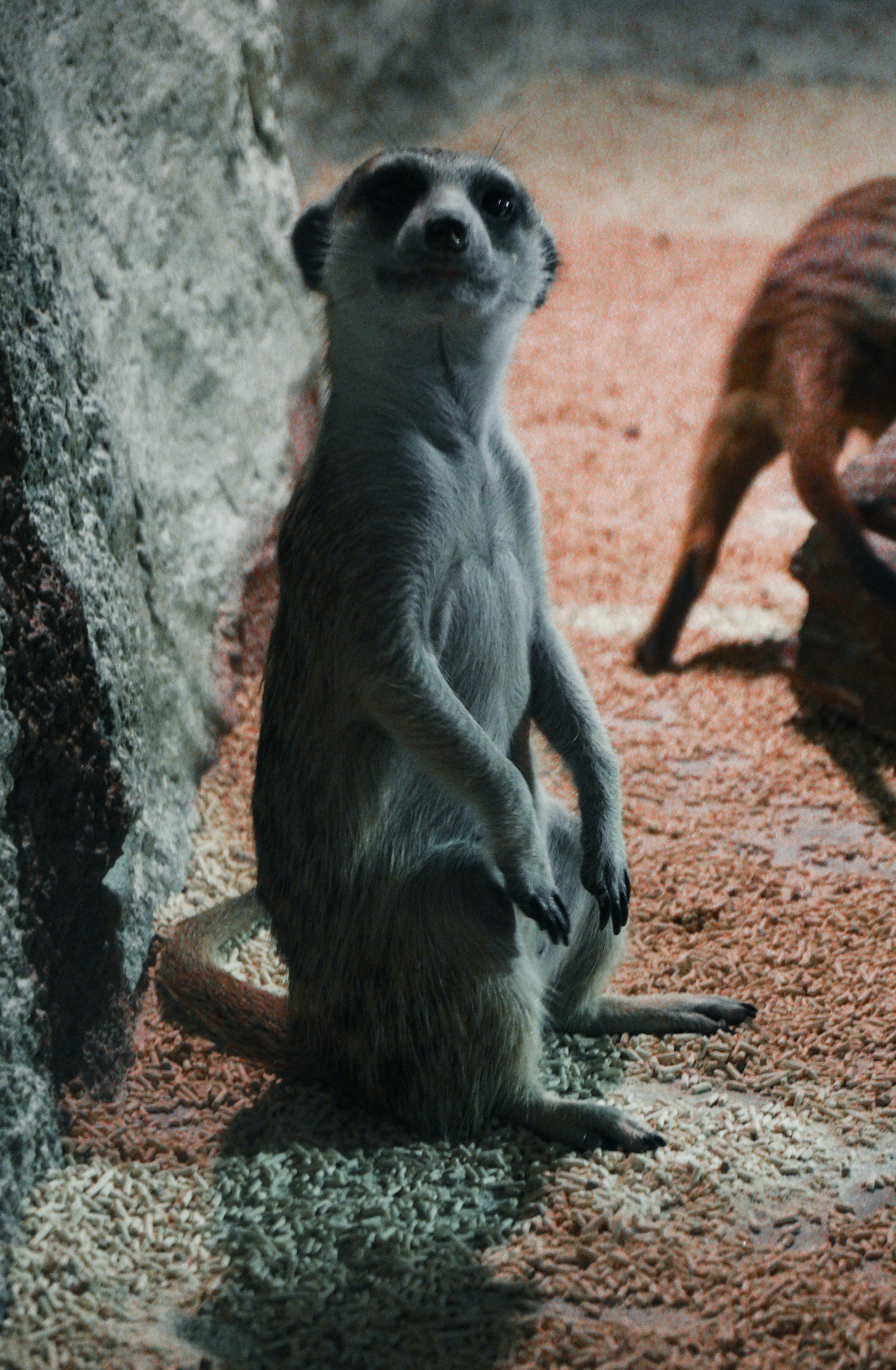 Aquaria KLCC photo 2