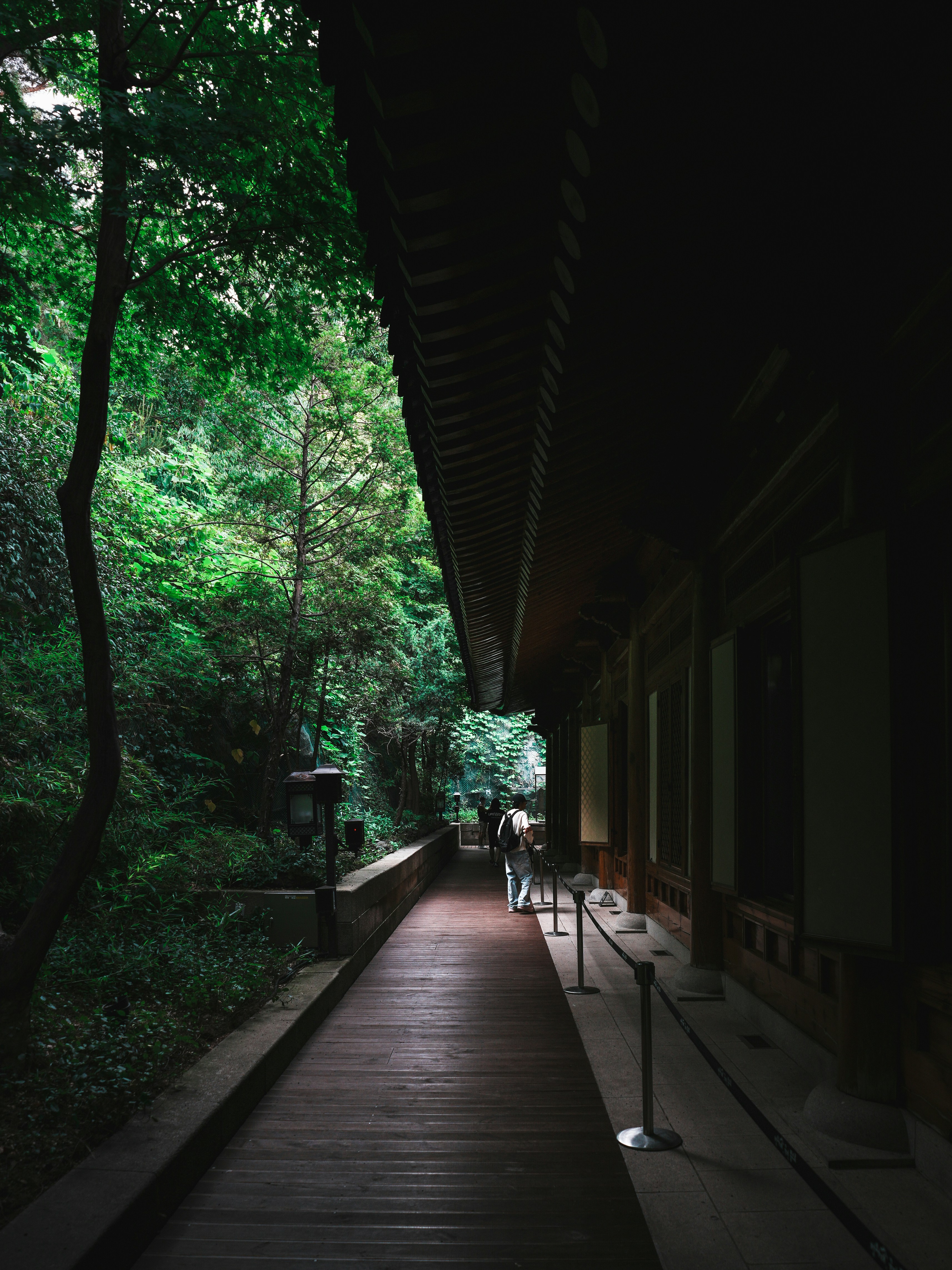 Photo by jinhan_photo