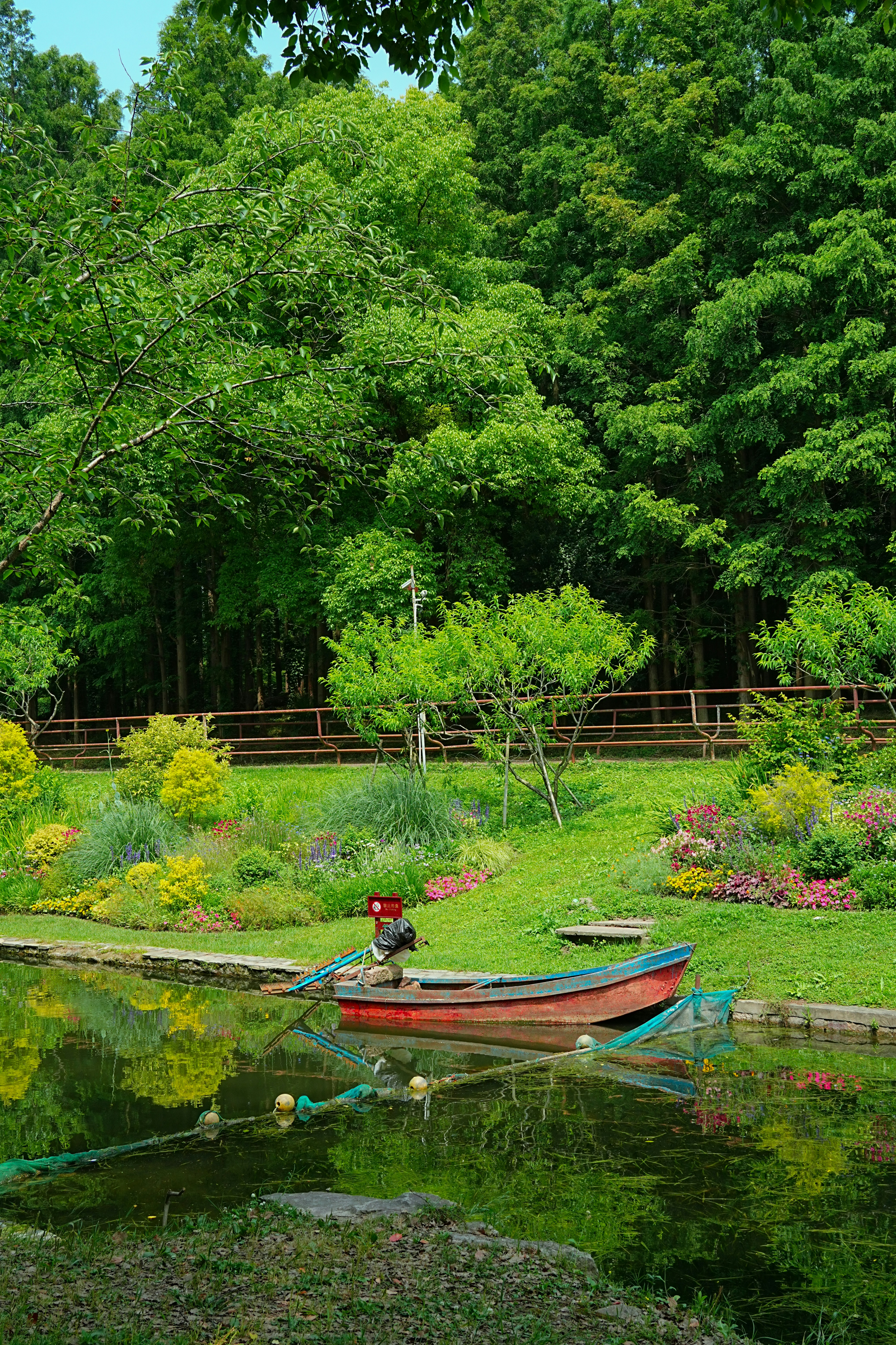 Photo by hattrick1996