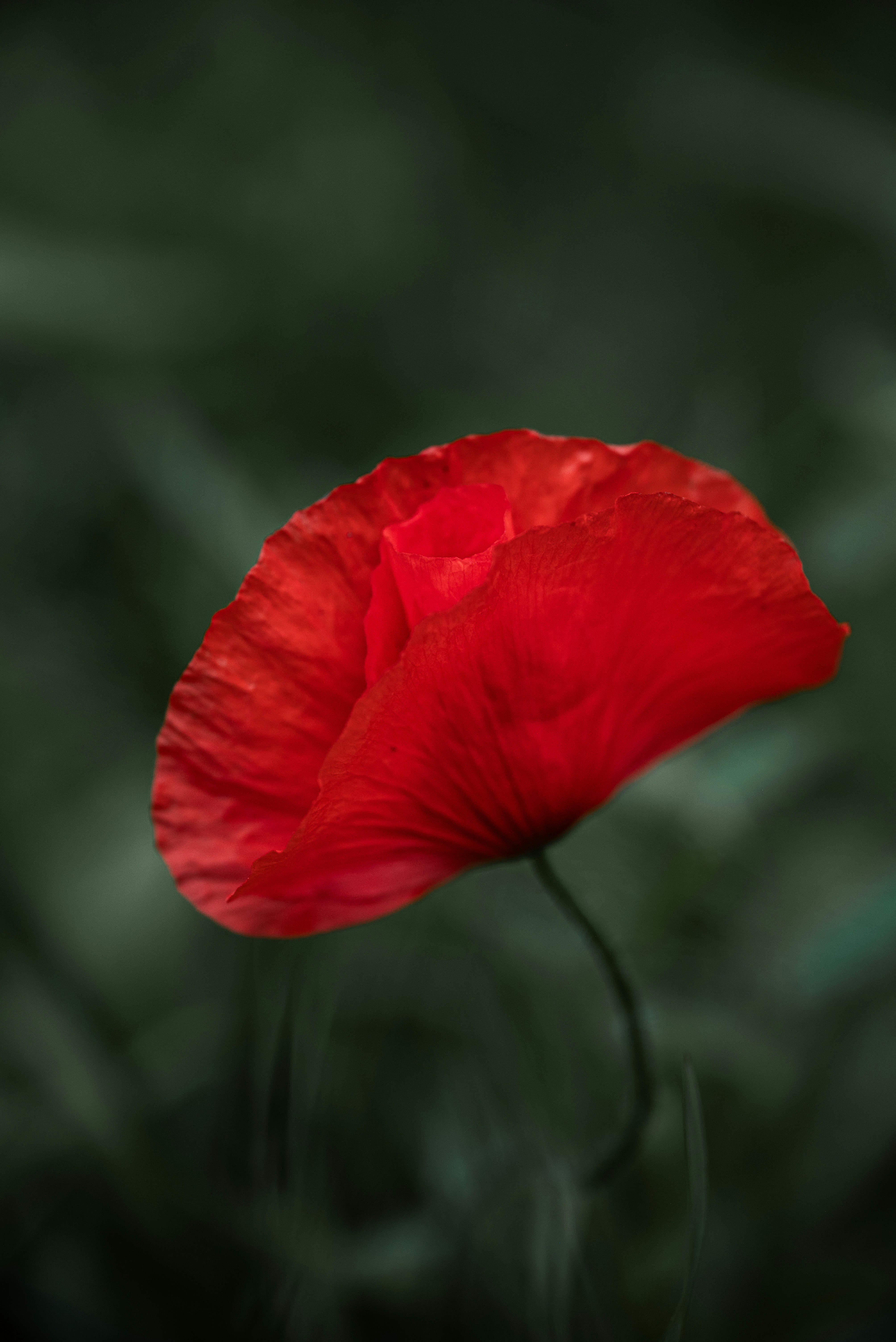 Photo by jetztabertempo