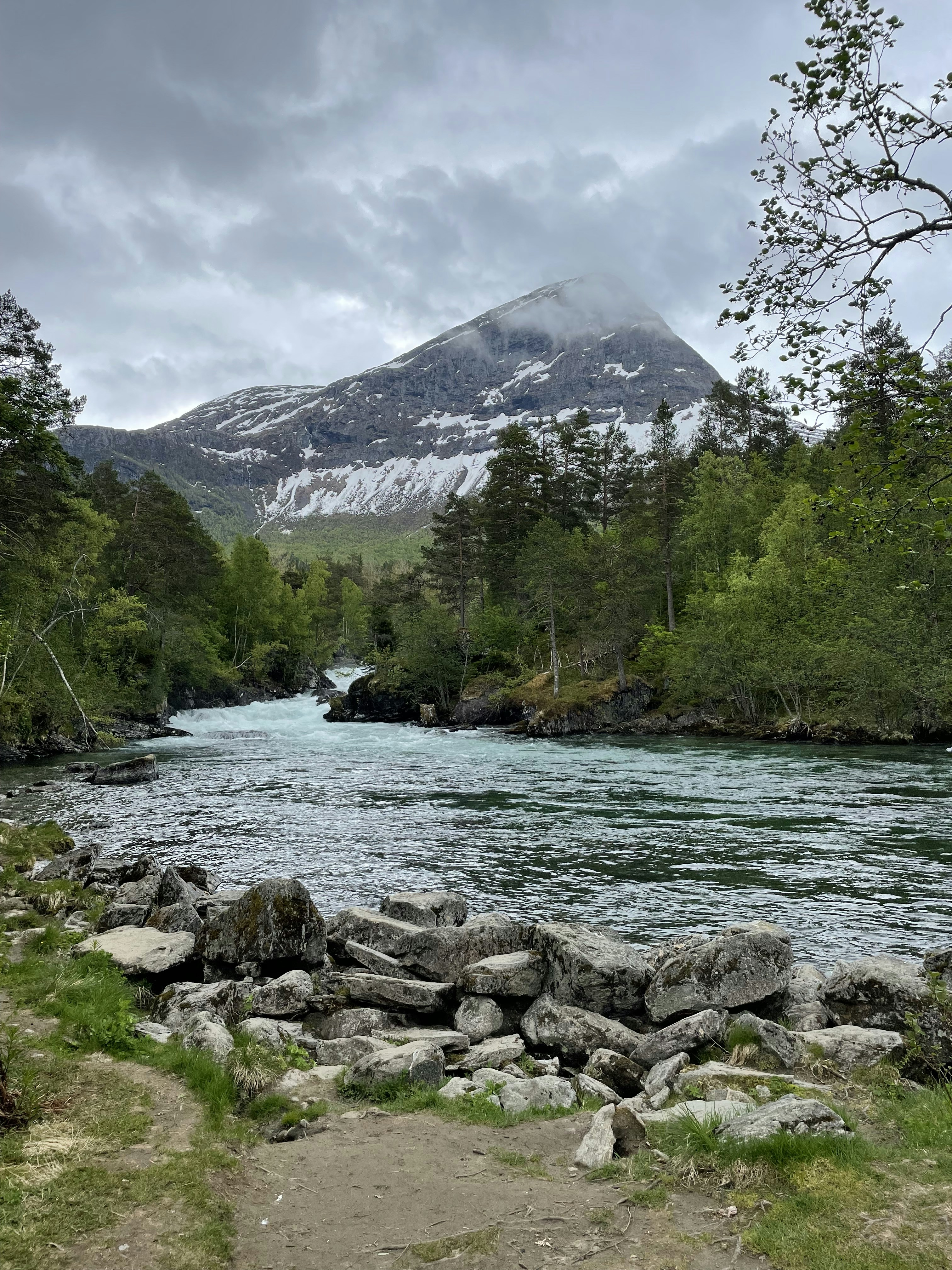 A river running through a lush green forest