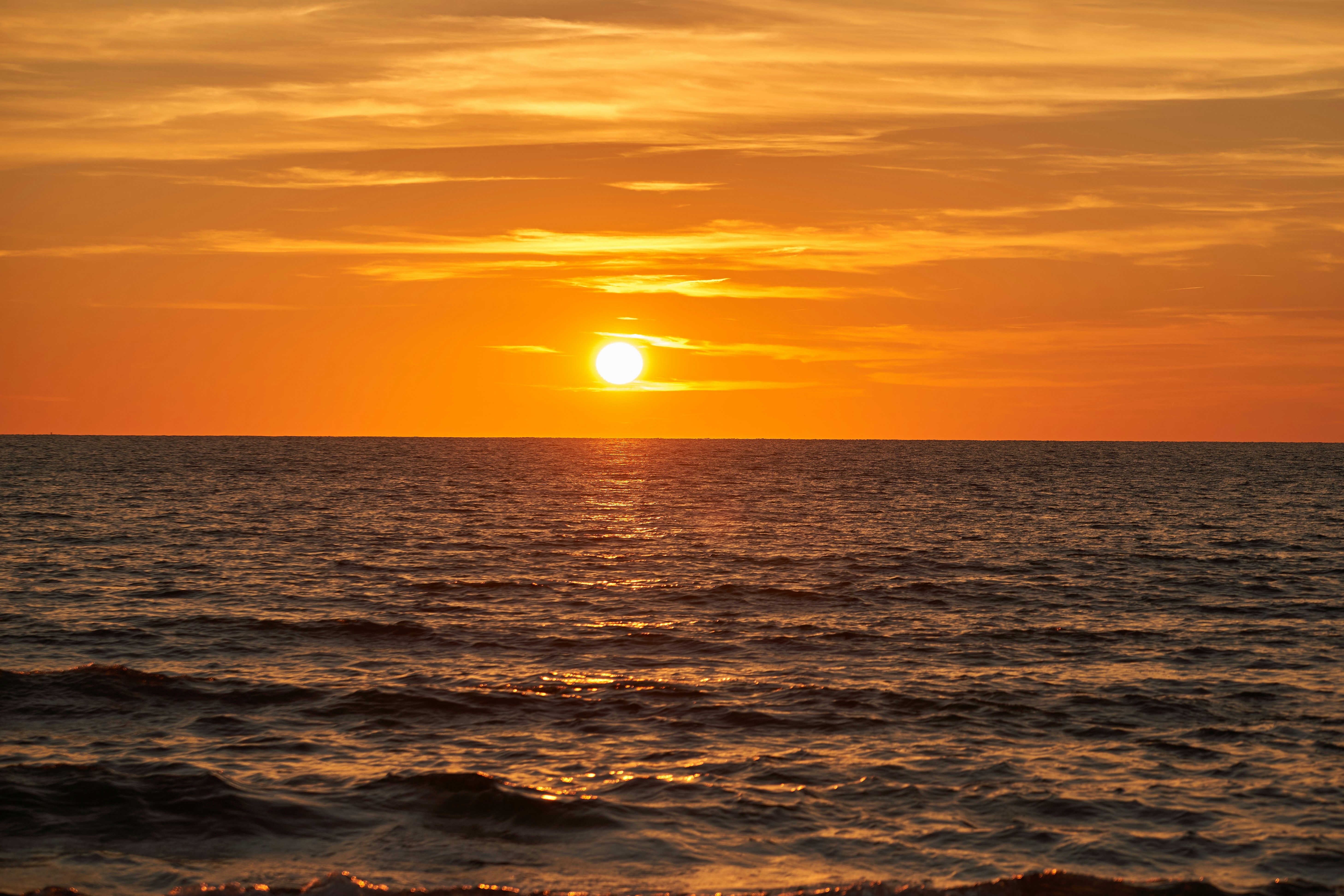 Photo by wolfgang_hasselmann