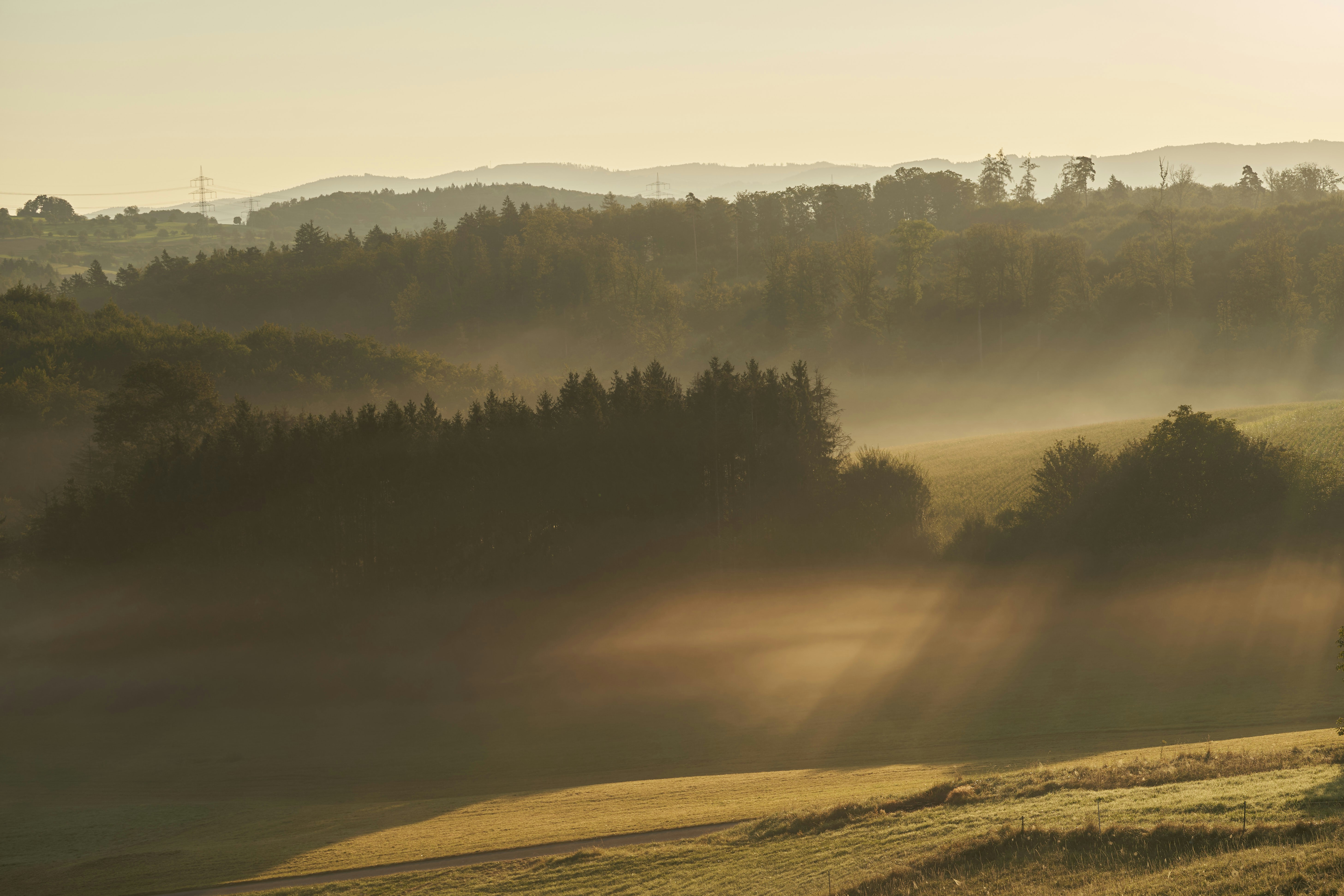 Photo by wolfgang_hasselmann