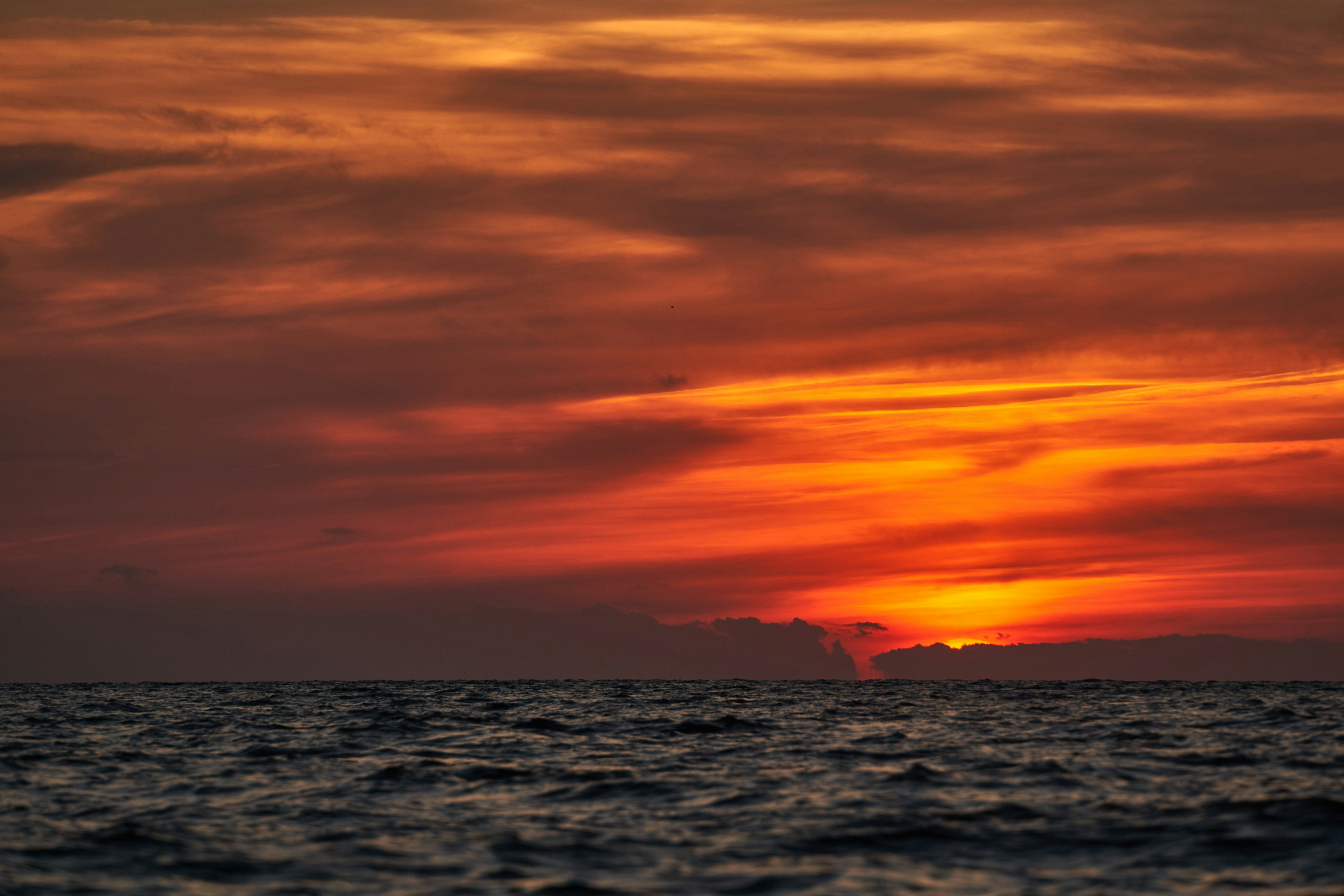 Photo by wolfgang_hasselmann