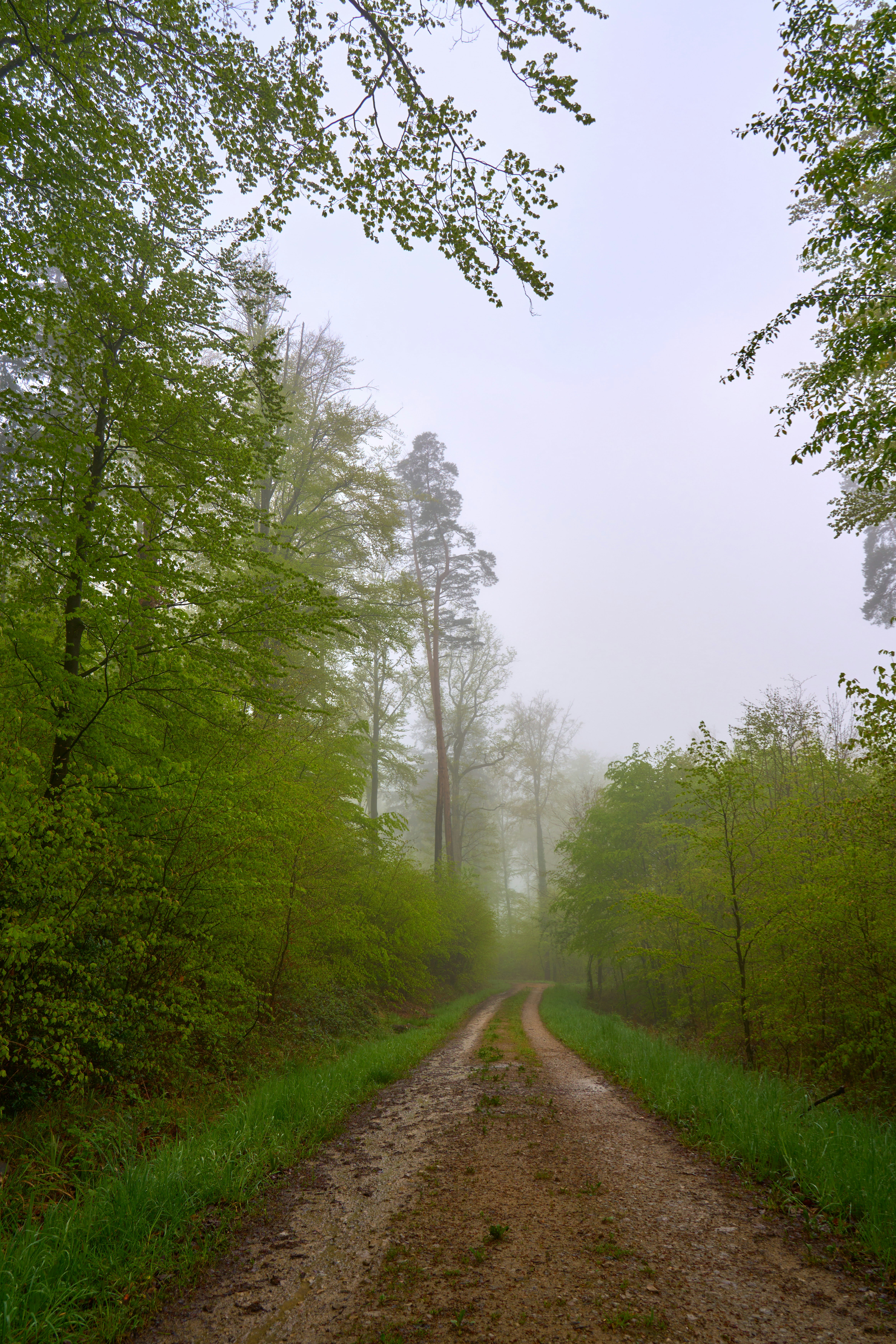 Photo by wolfgang_hasselmann