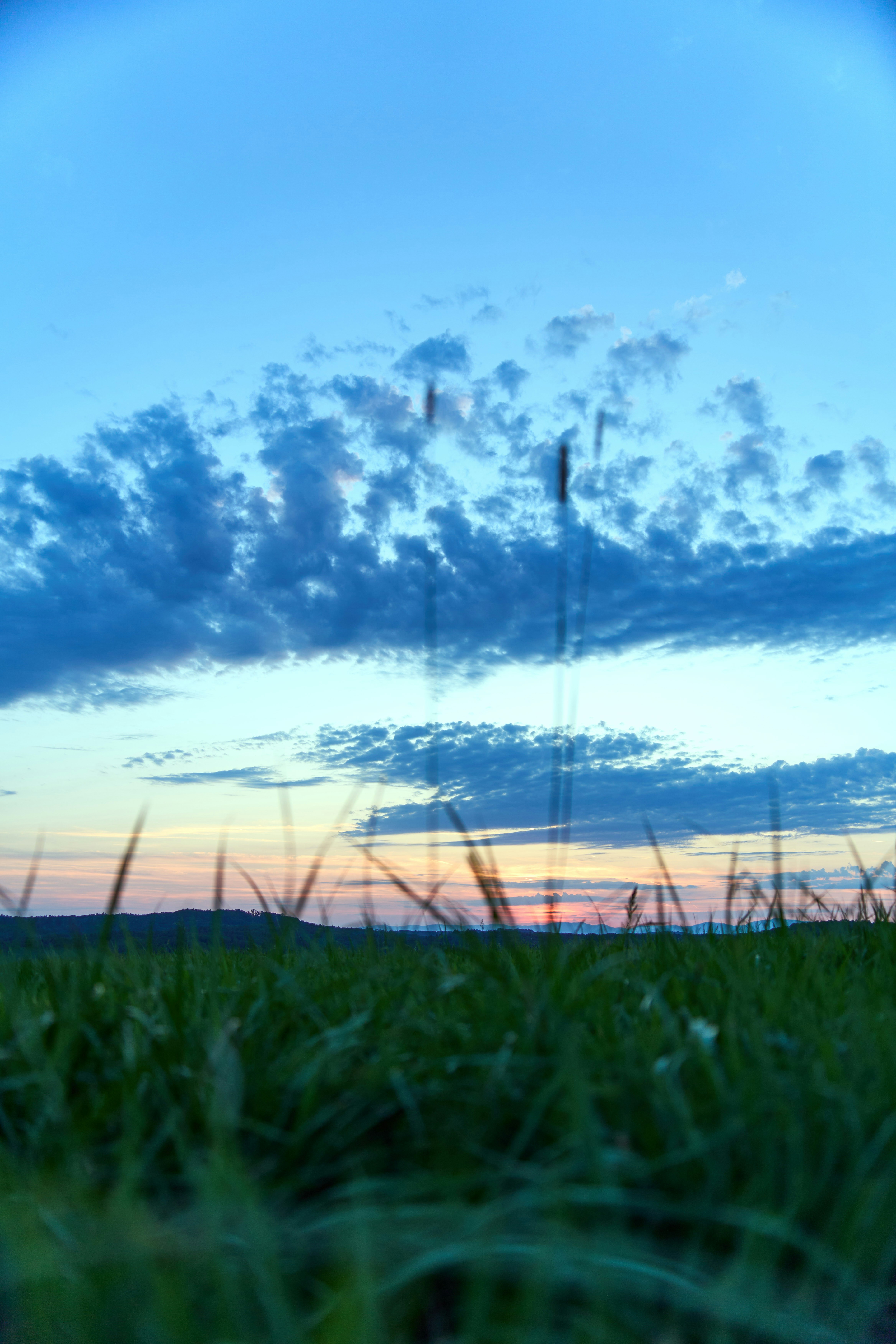 Photo by wolfgang_hasselmann