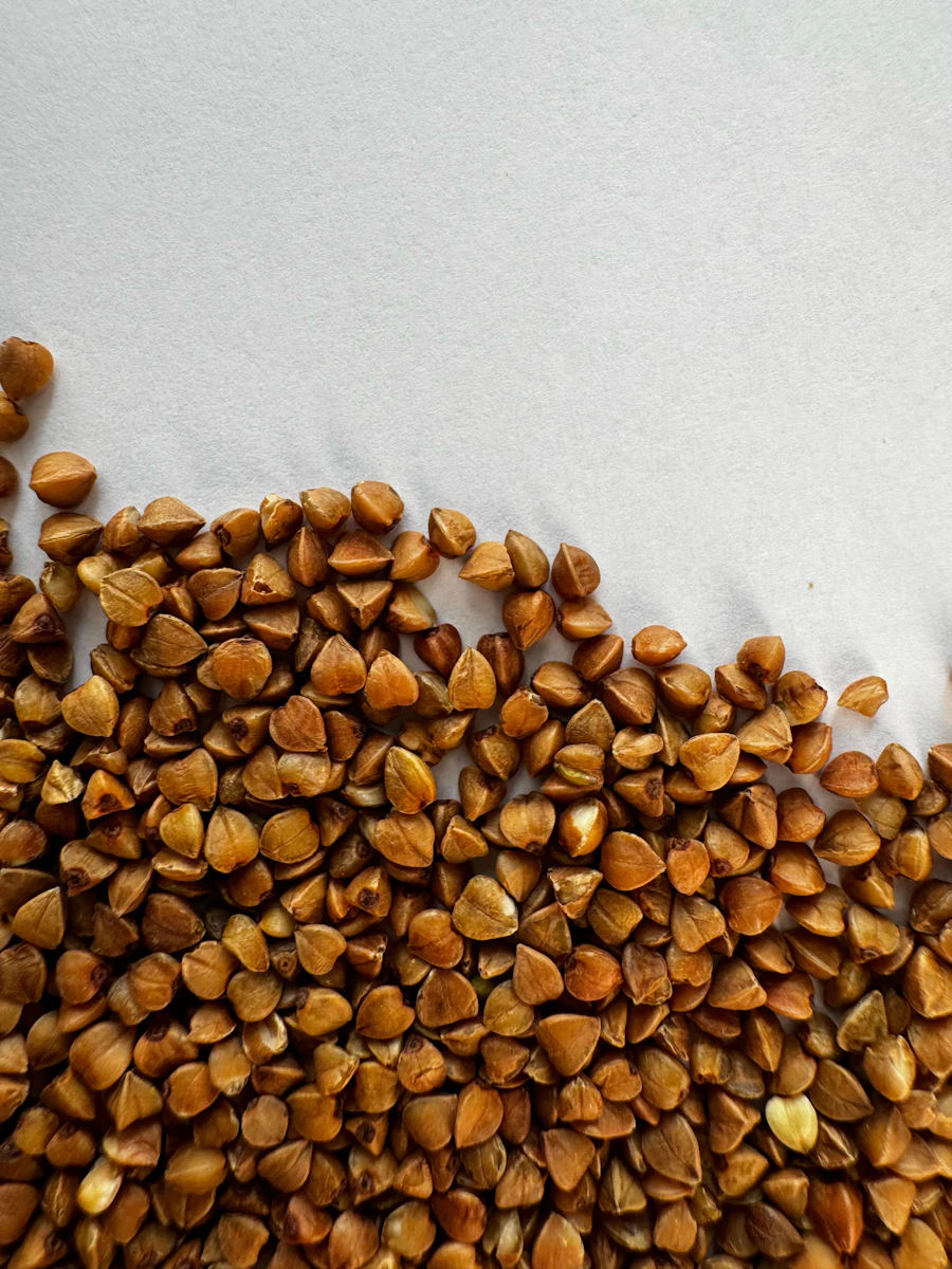 Buckwheat