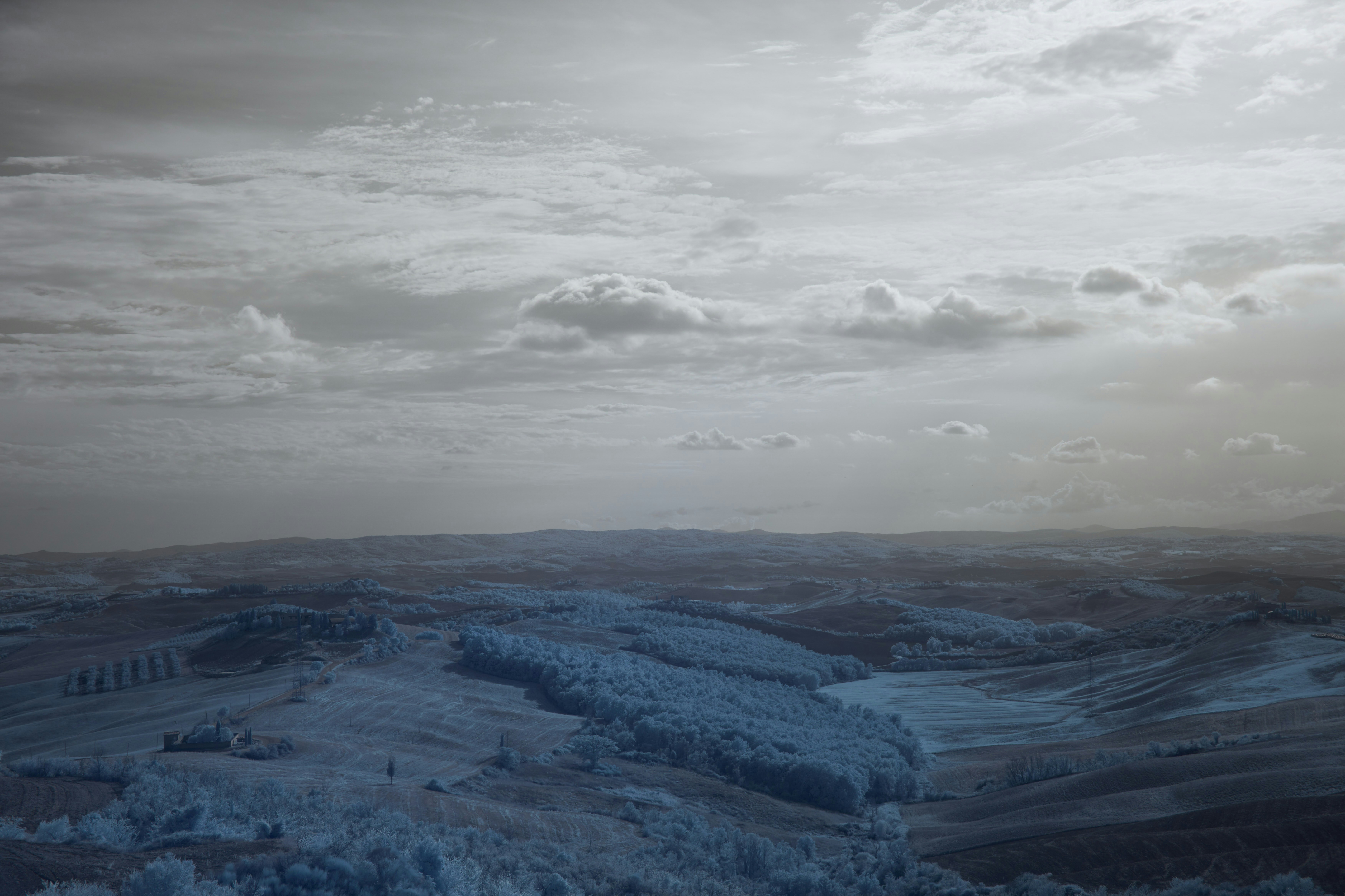 Photo by wolfgang_hasselmann