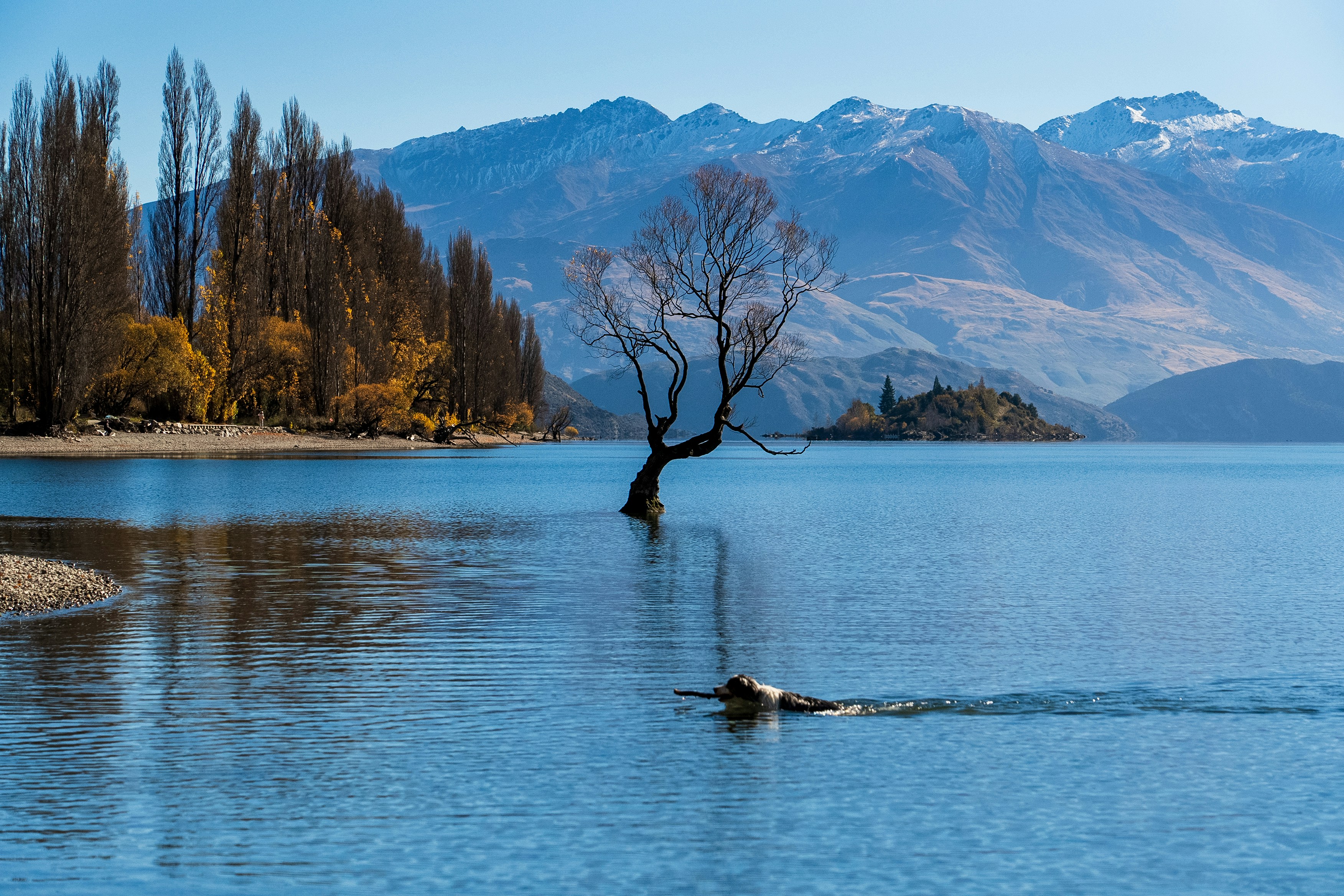Wanaka travel photo