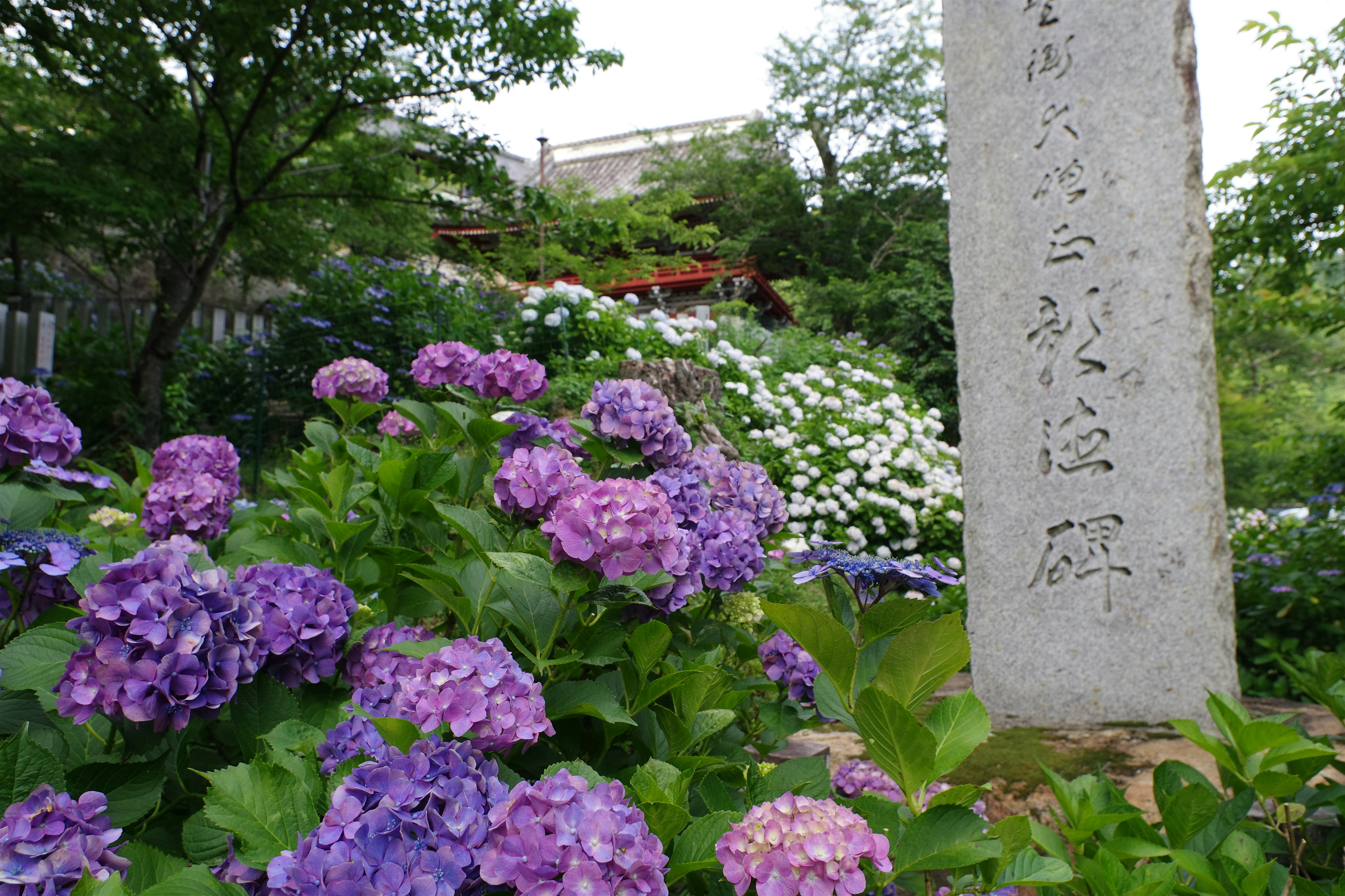 媽啊！我家竟然比IKEA還舒適！3招改造術驚呆設計師！