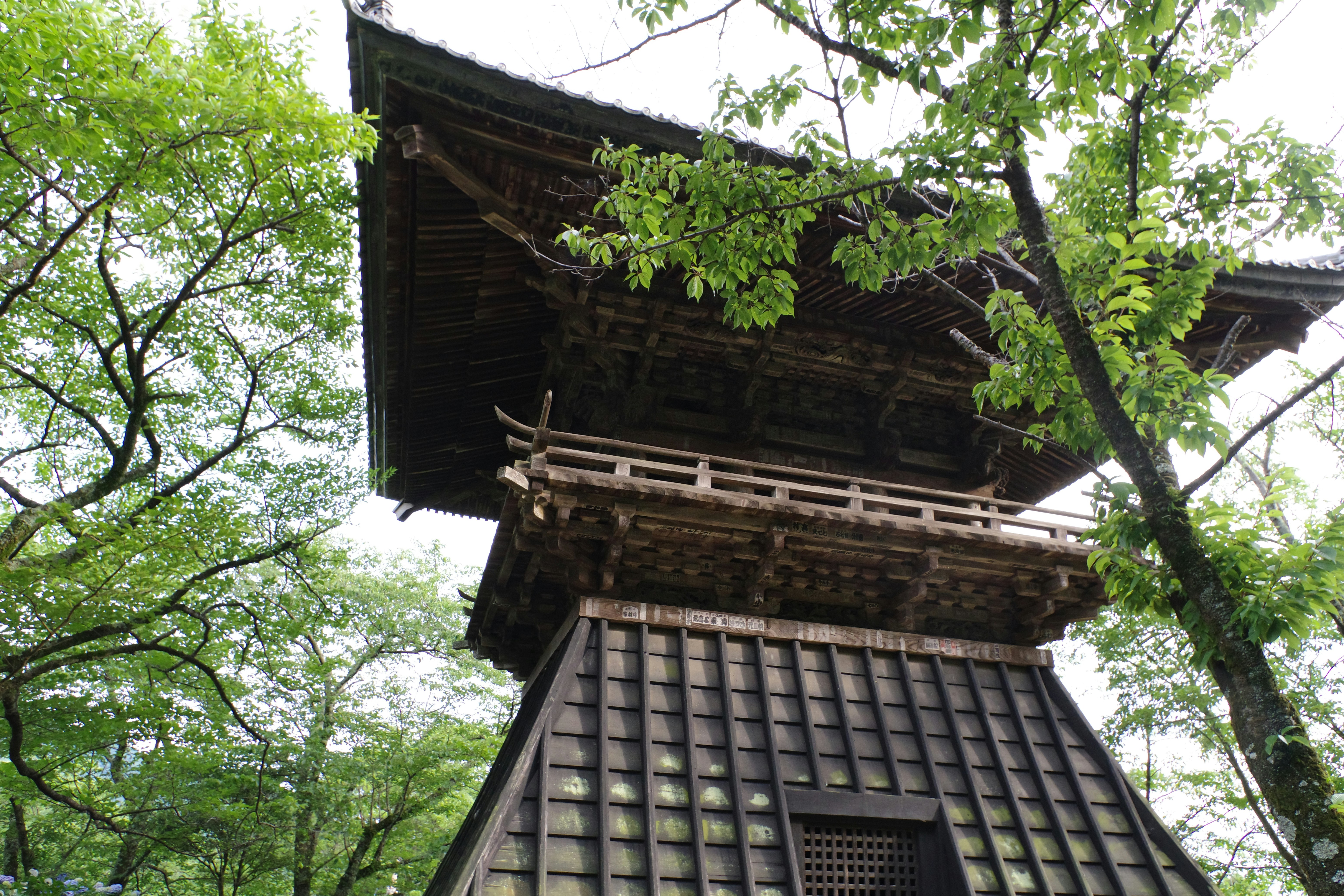 😱真相曝光！99%的人都不知道的家居清潔終極秘技，看完直接跪了！