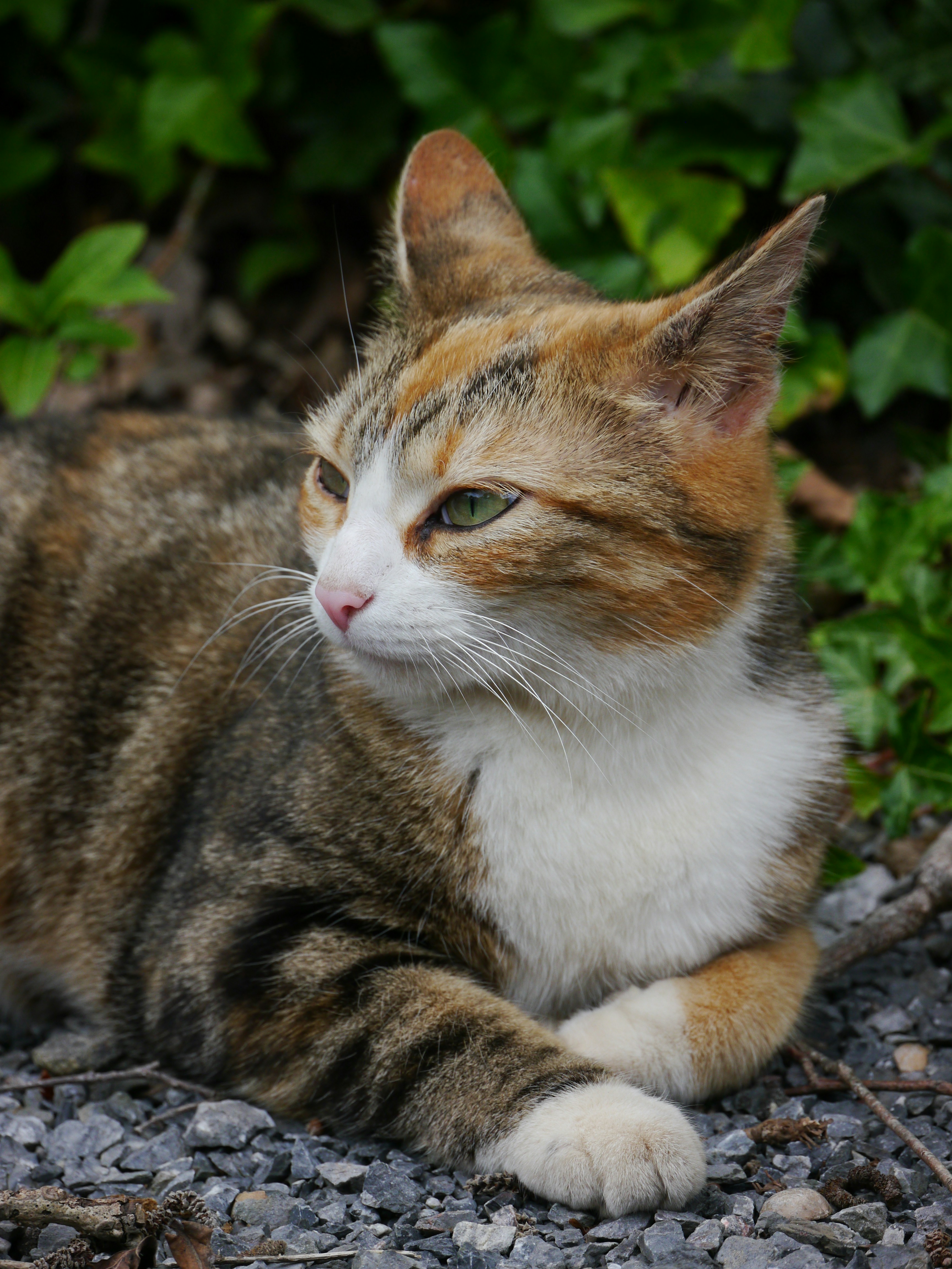 Photo by iqsphotography