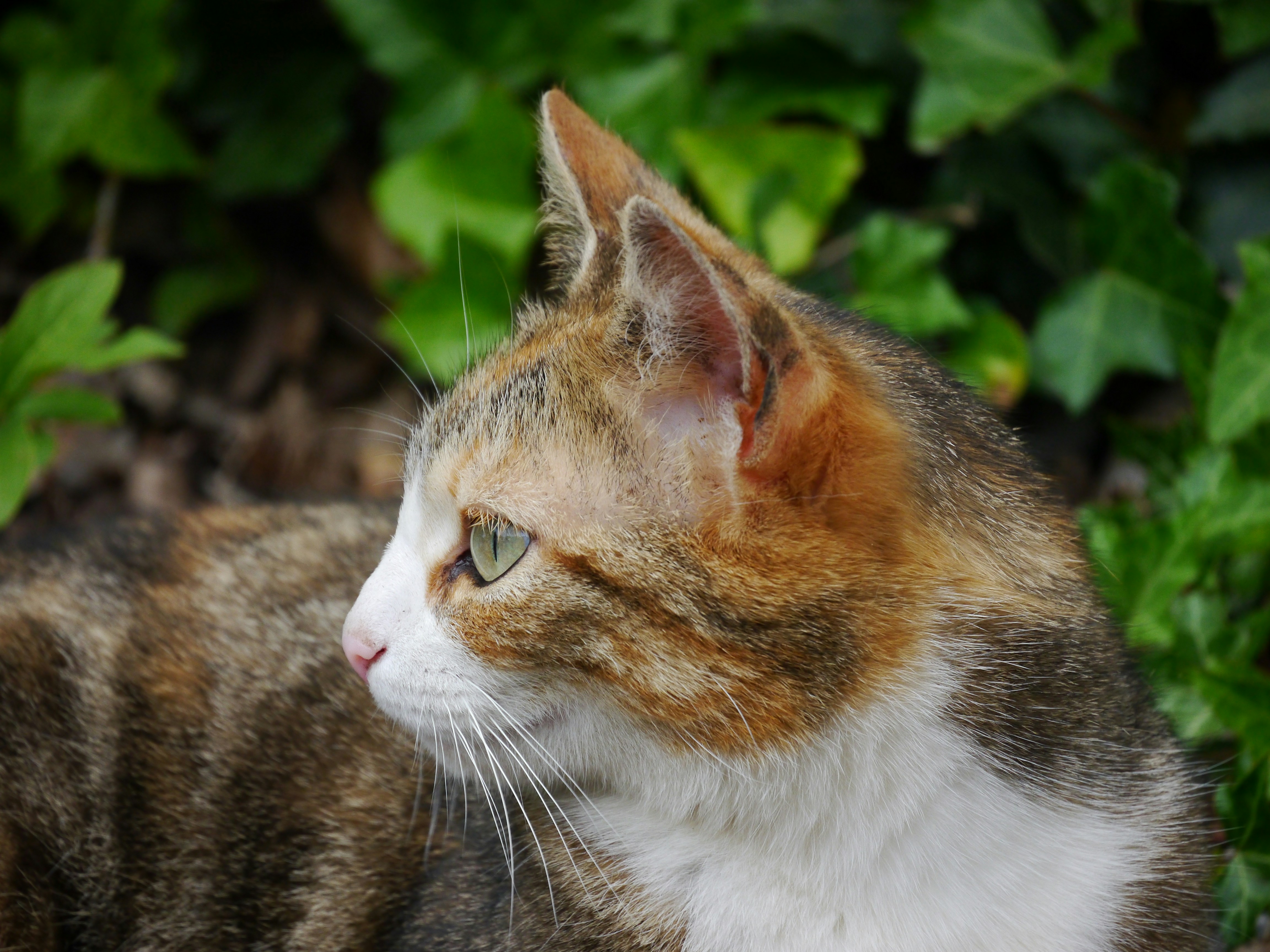 Photo by iqsphotography