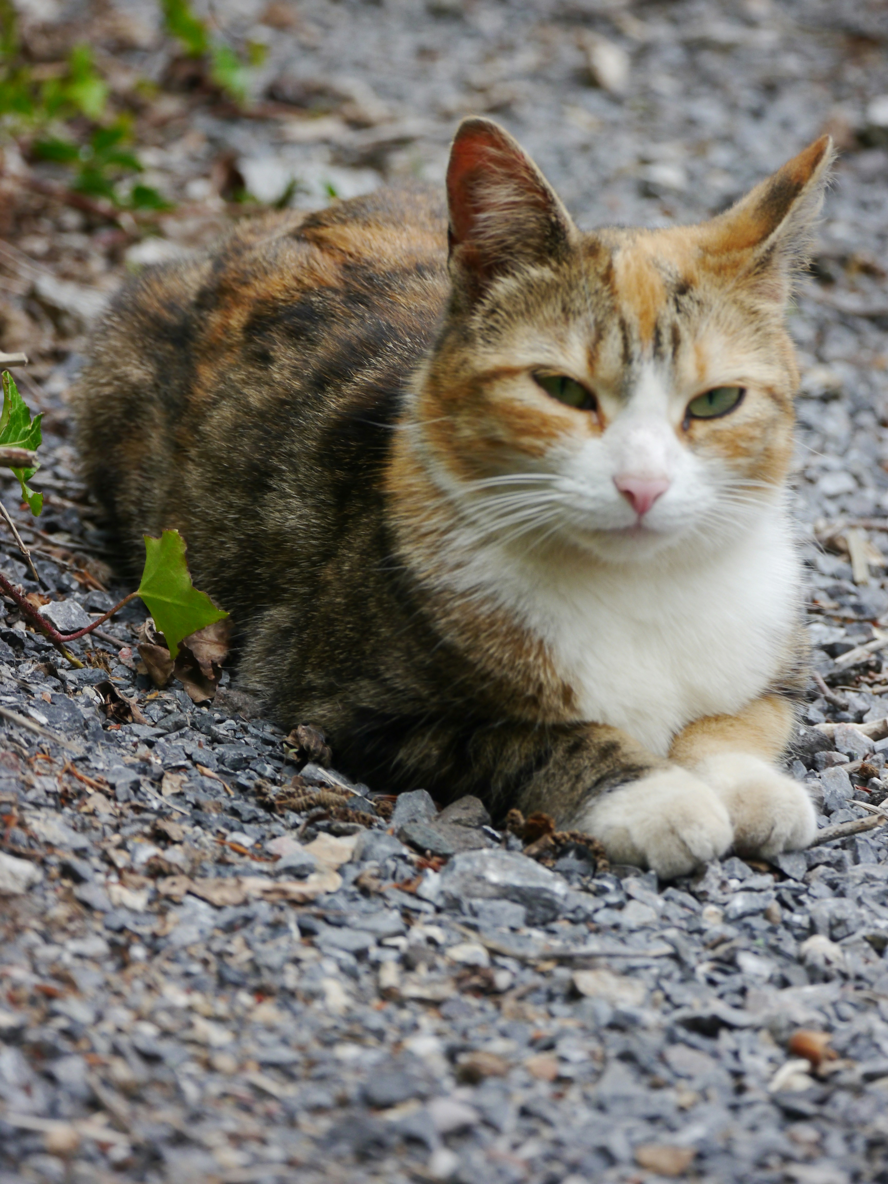 Photo by iqsphotography