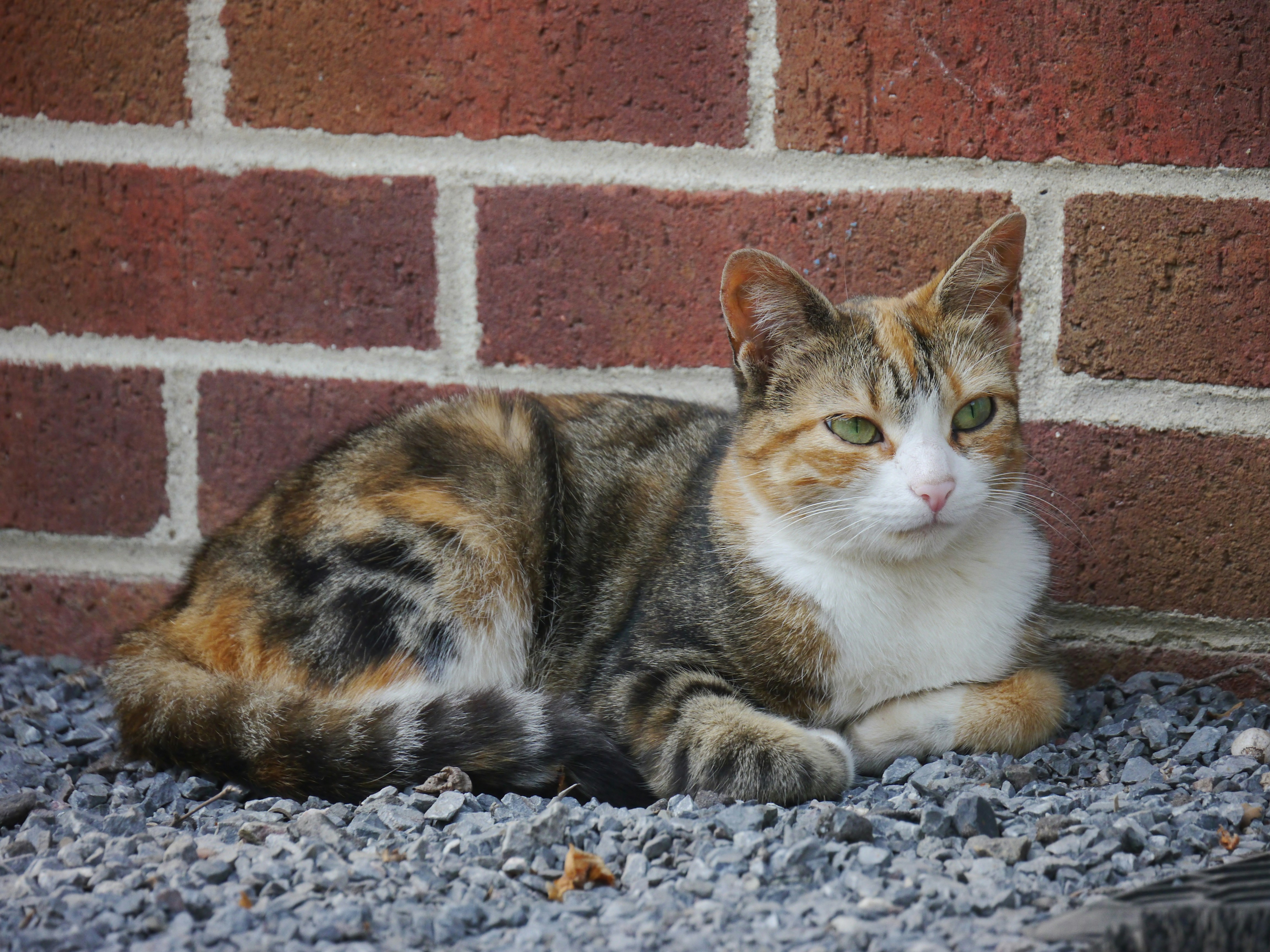 Photo by iqsphotography