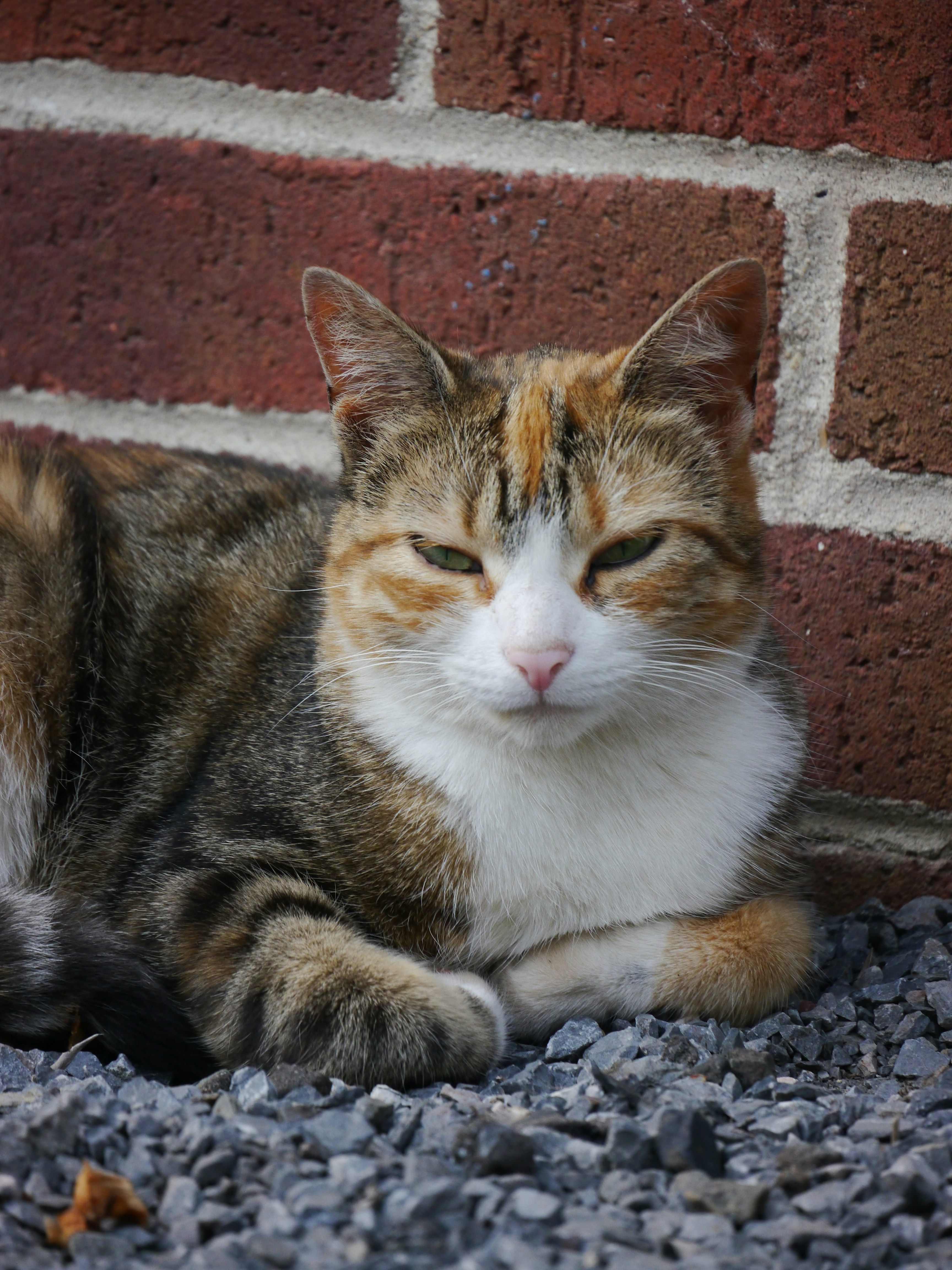 Photo by iqsphotography