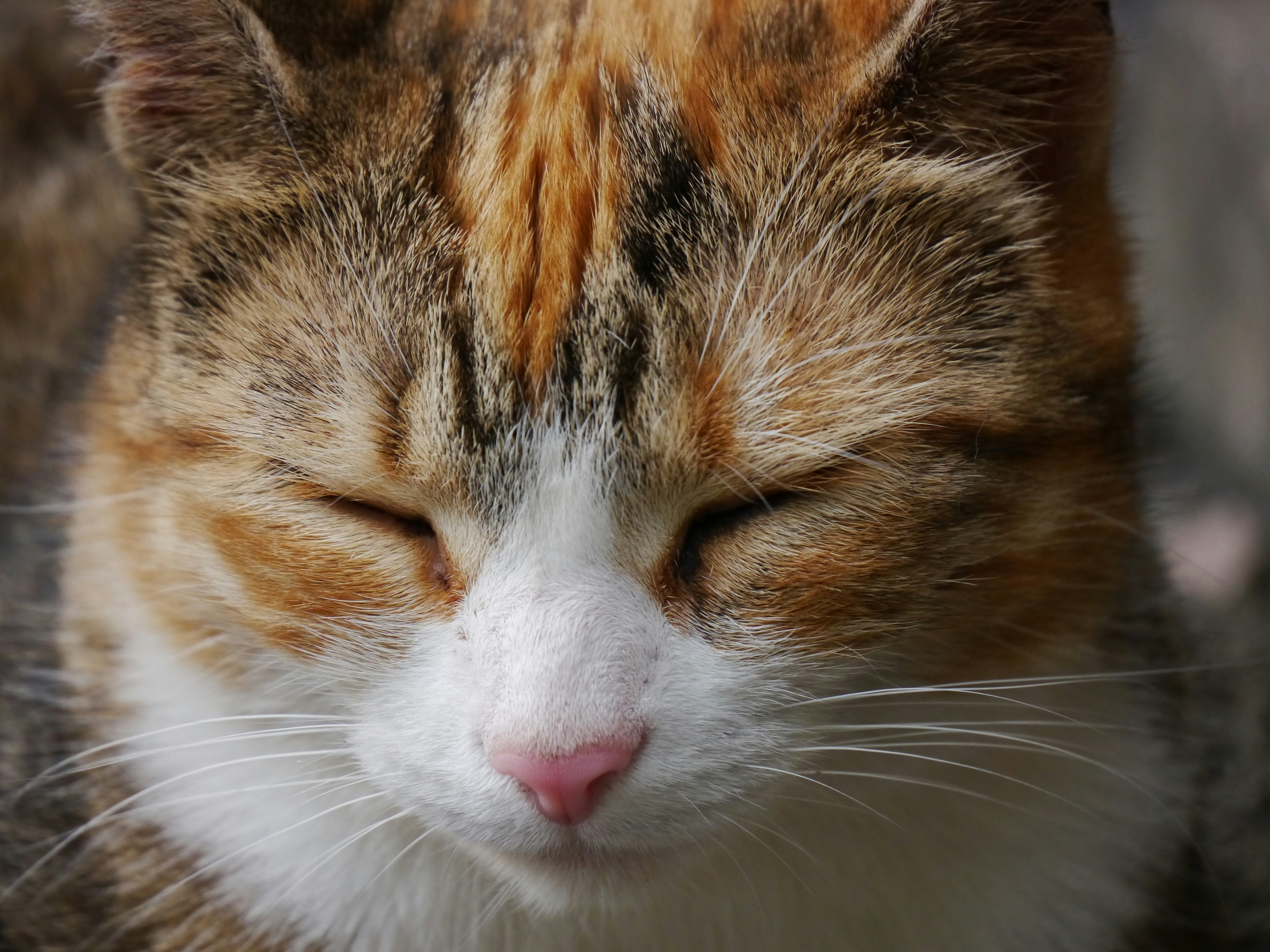 Photo by iqsphotography