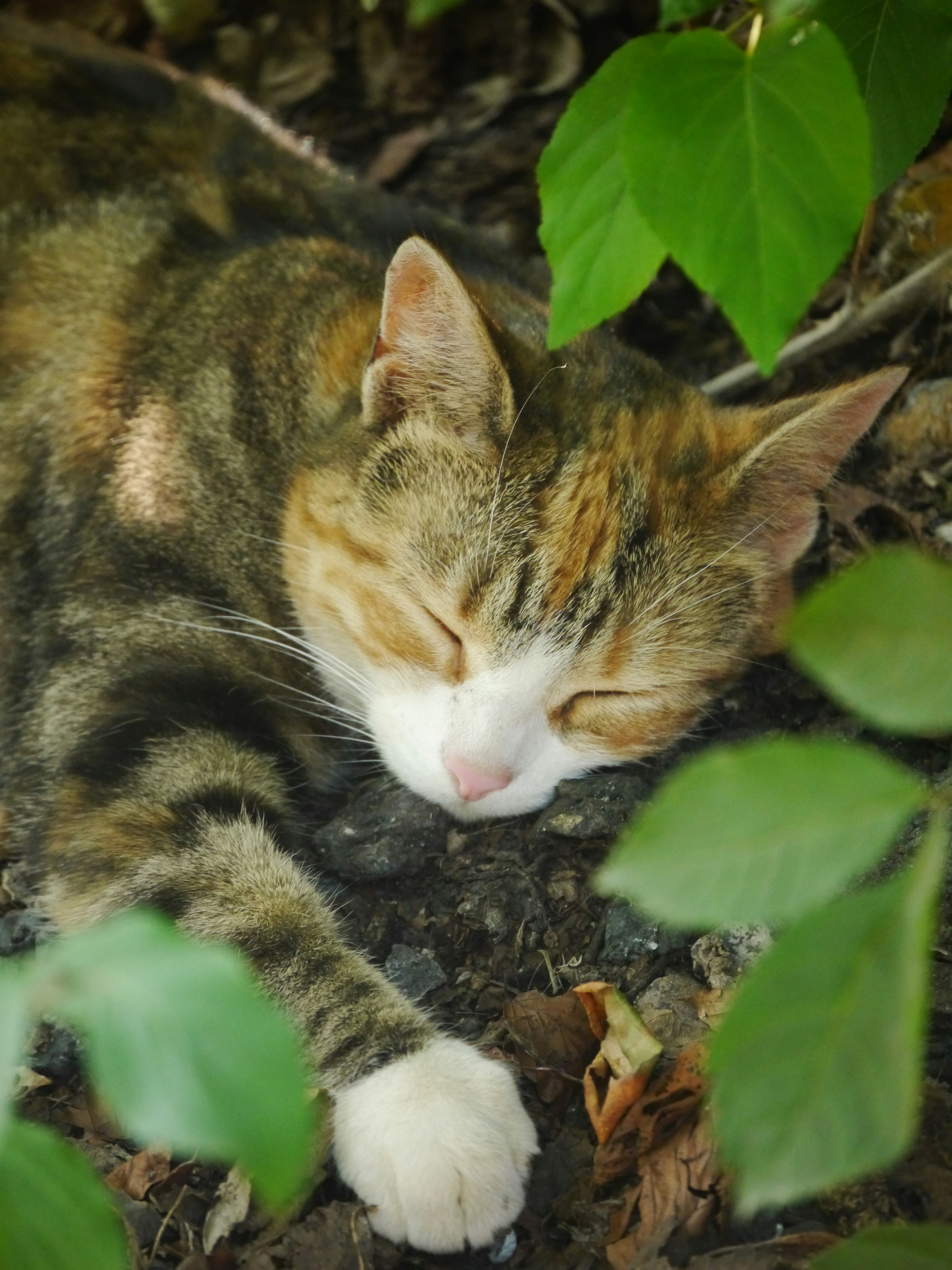 Photo by iqsphotography