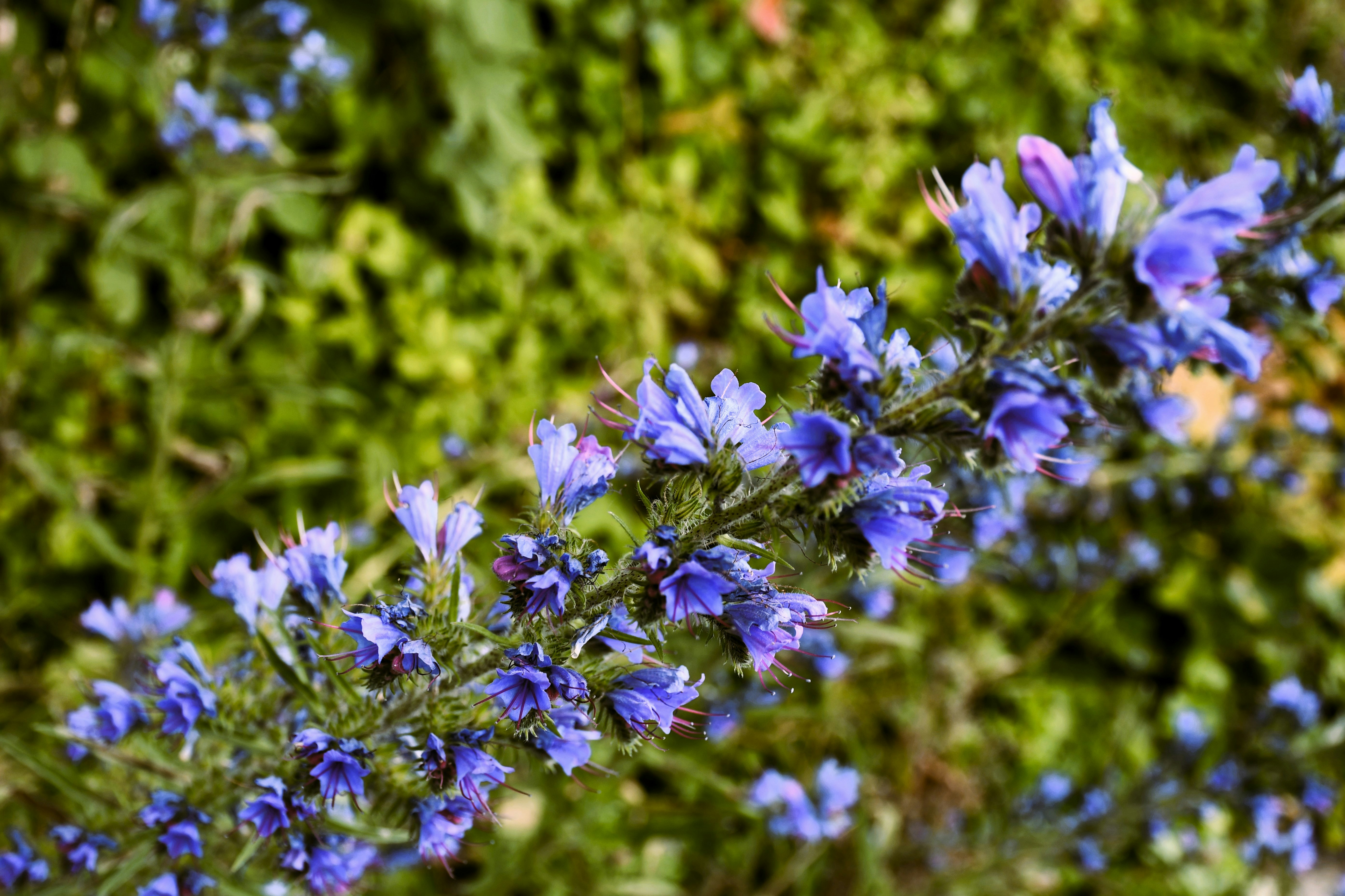 Photo by oleksandra_syrytsia