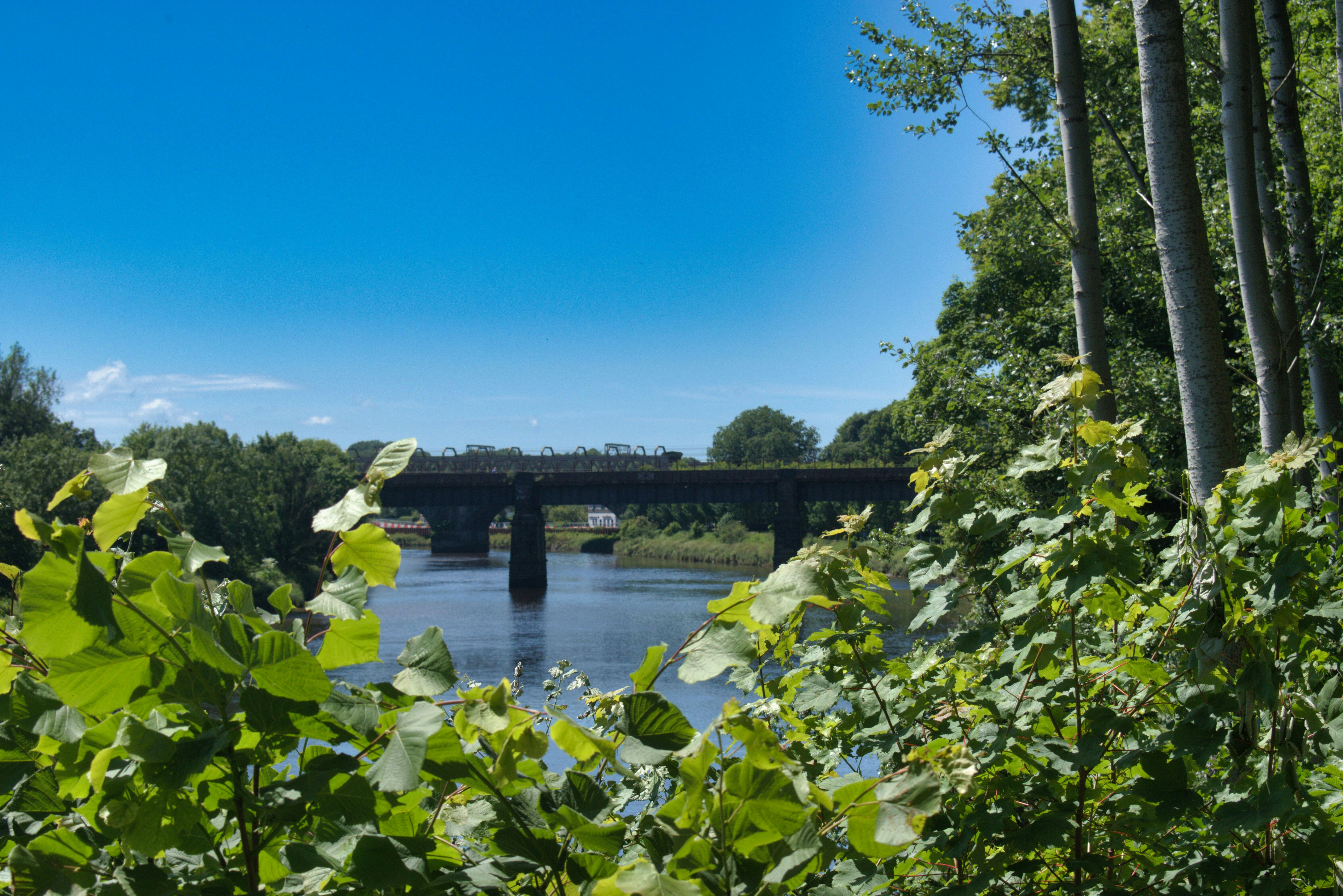 Photo by andrew_hall