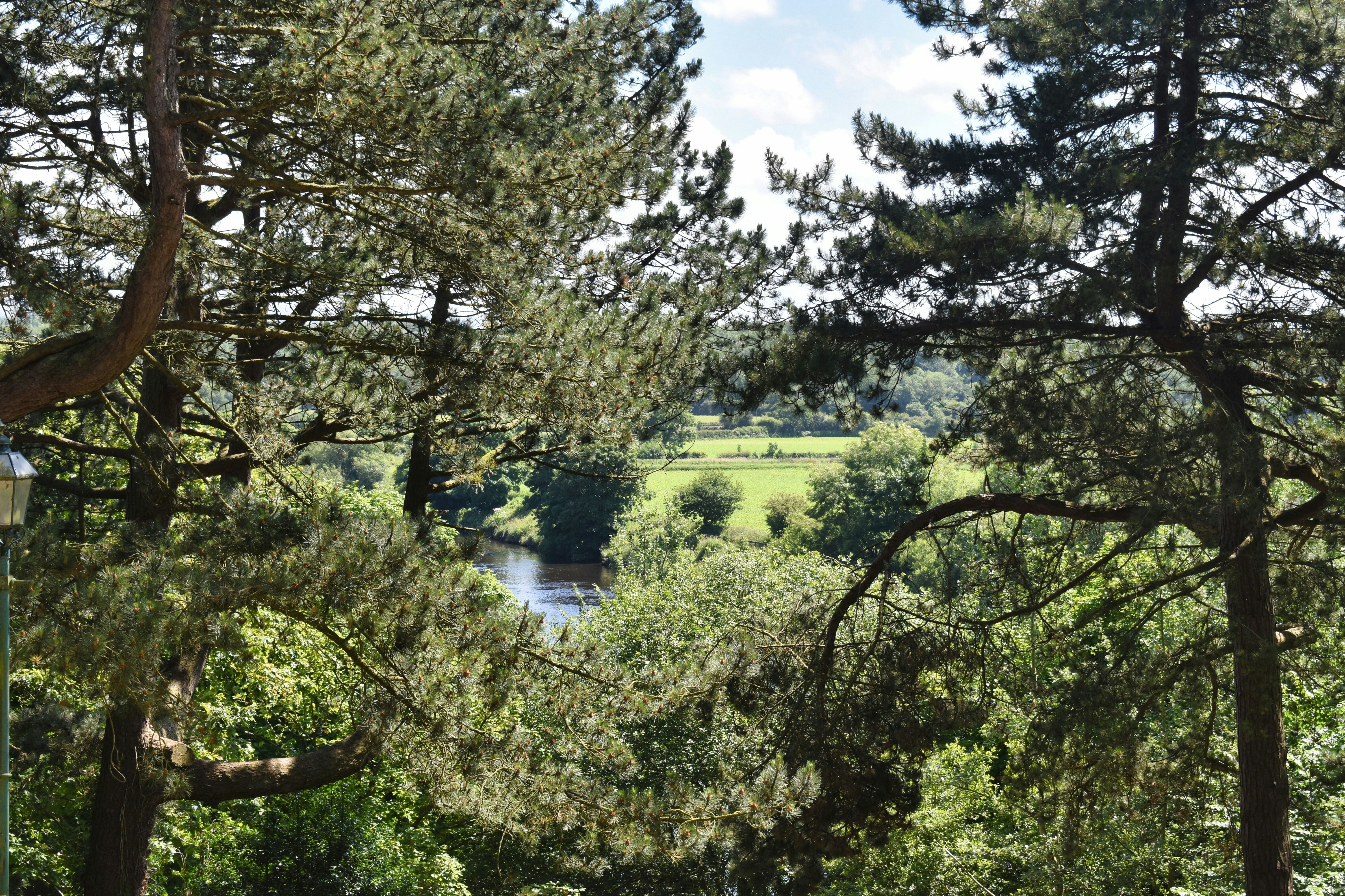 Photo by andrew_hall