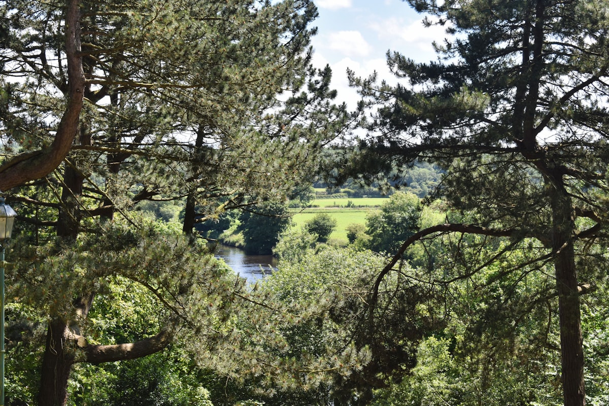 The River Ribble in Lancashire near Penwortham and Leyland in South Ribble borough