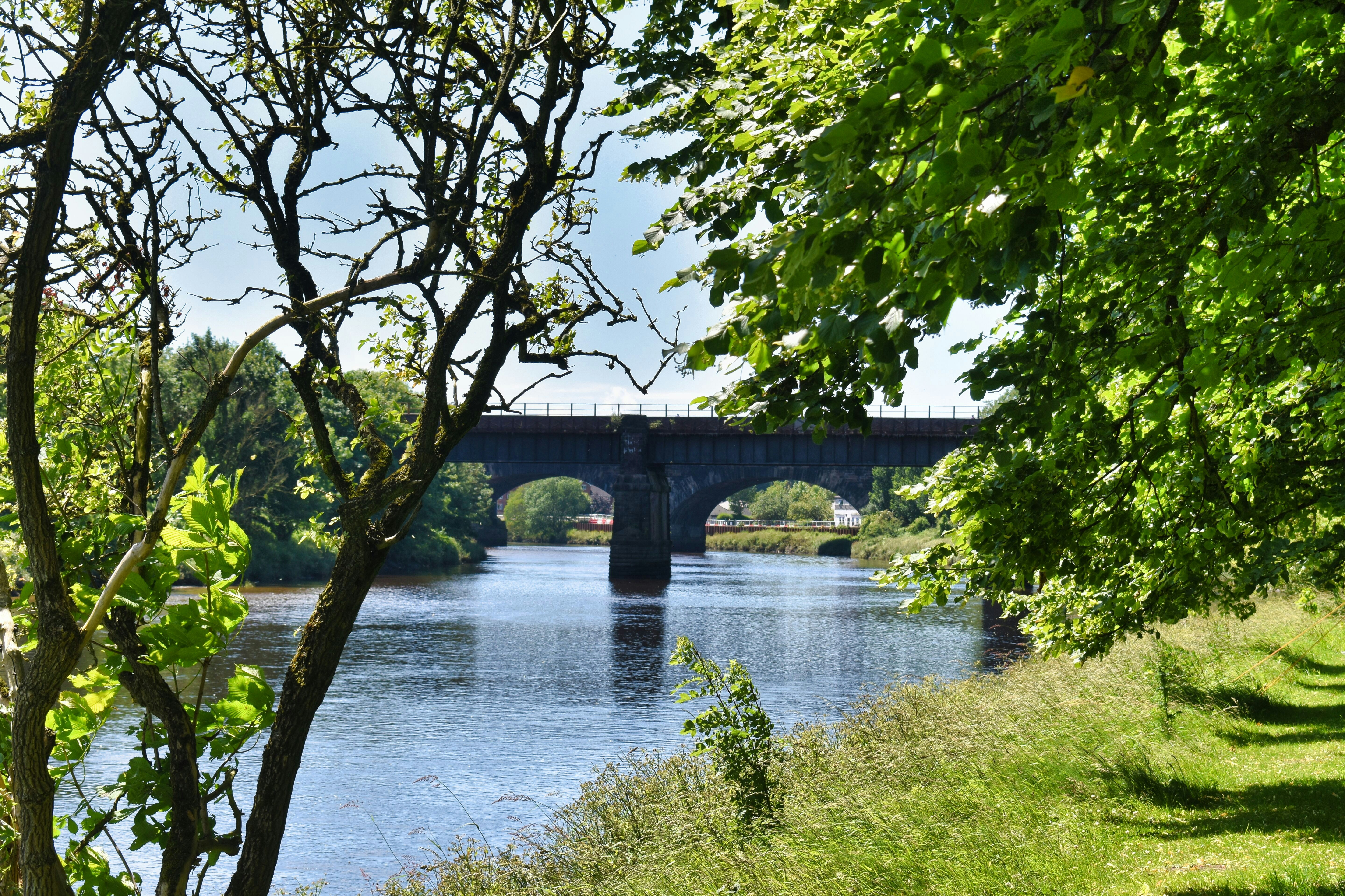 Photo by andrew_hall