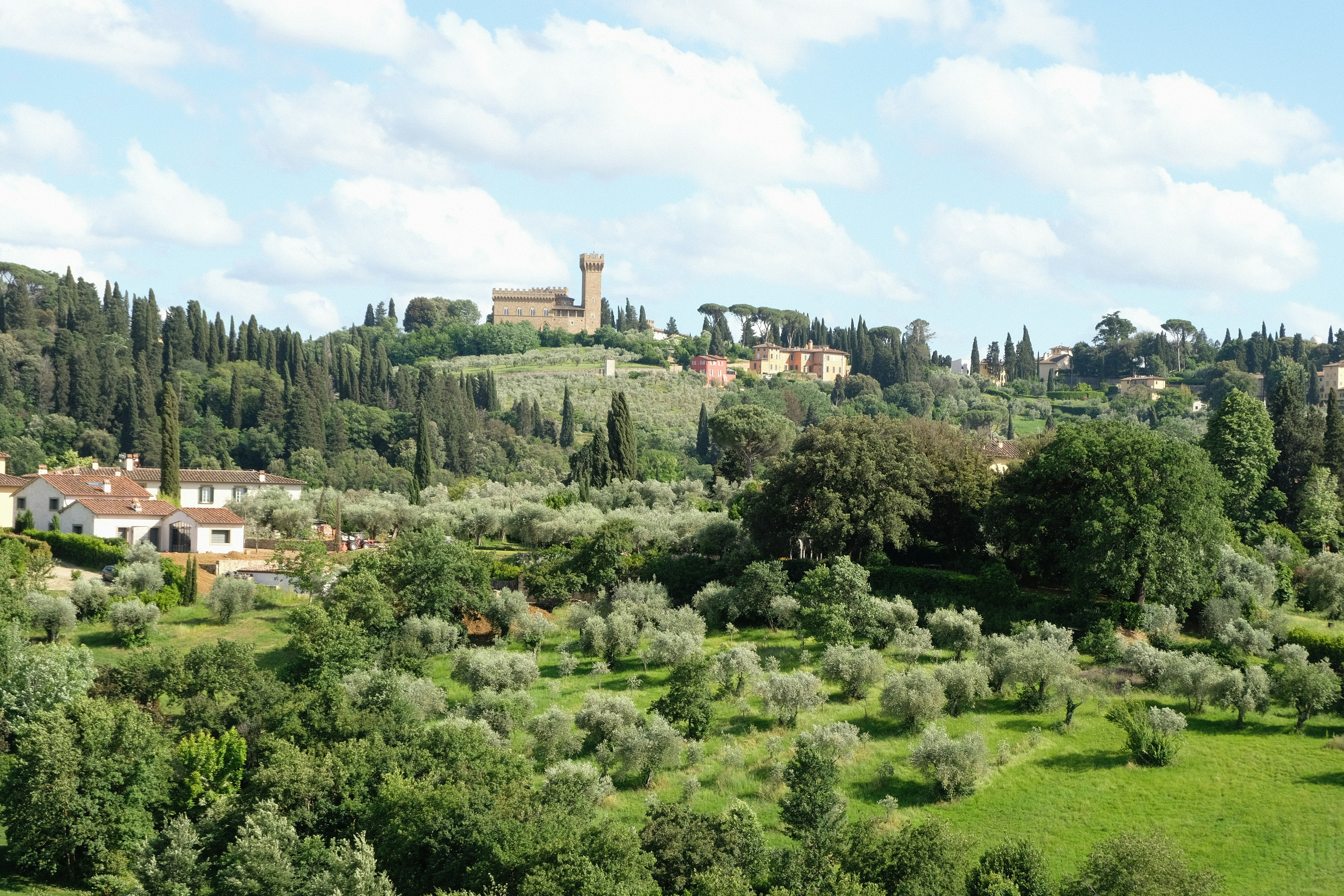 Photo by forest_tales