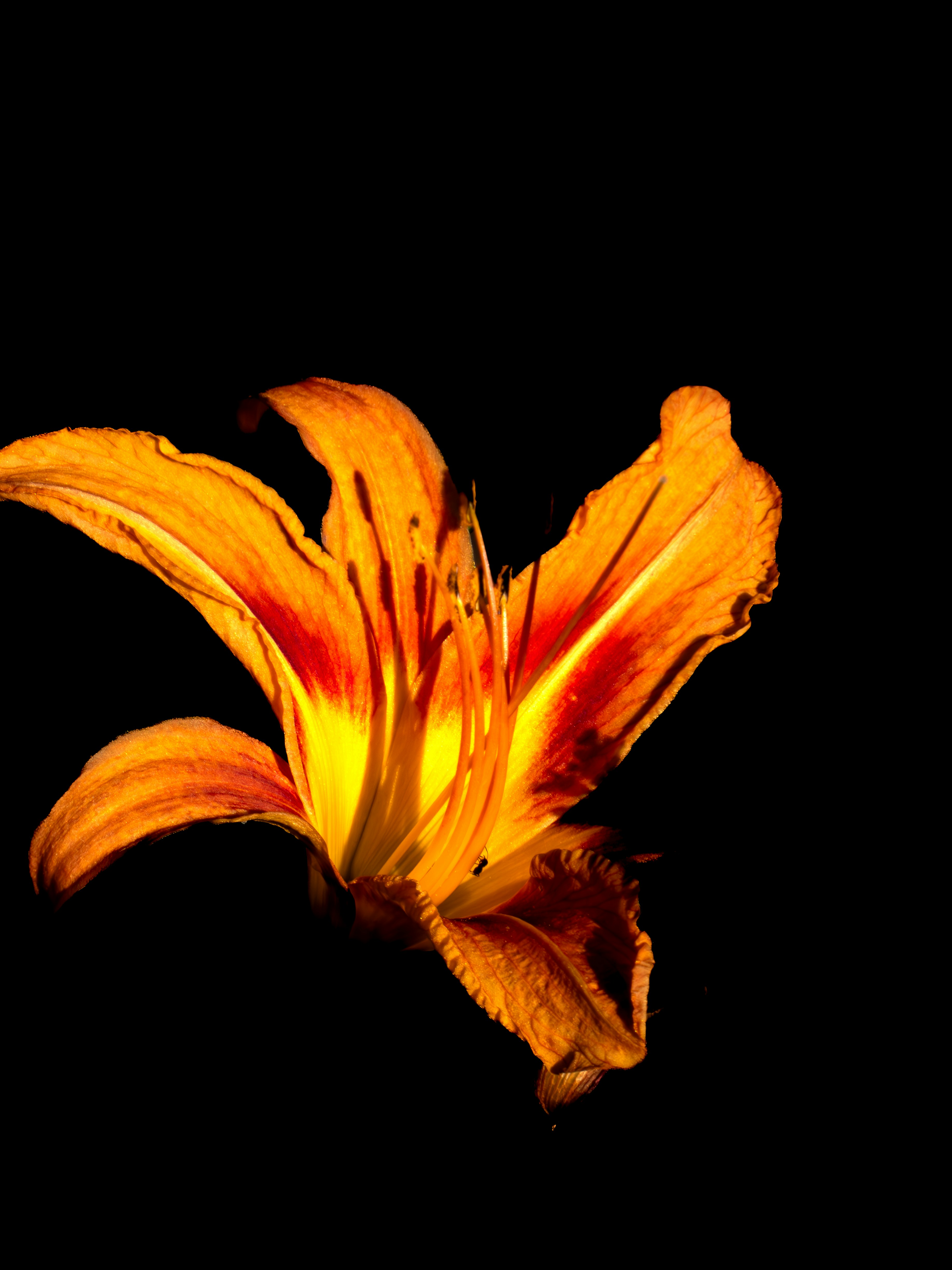 Photo by justmeandcamera