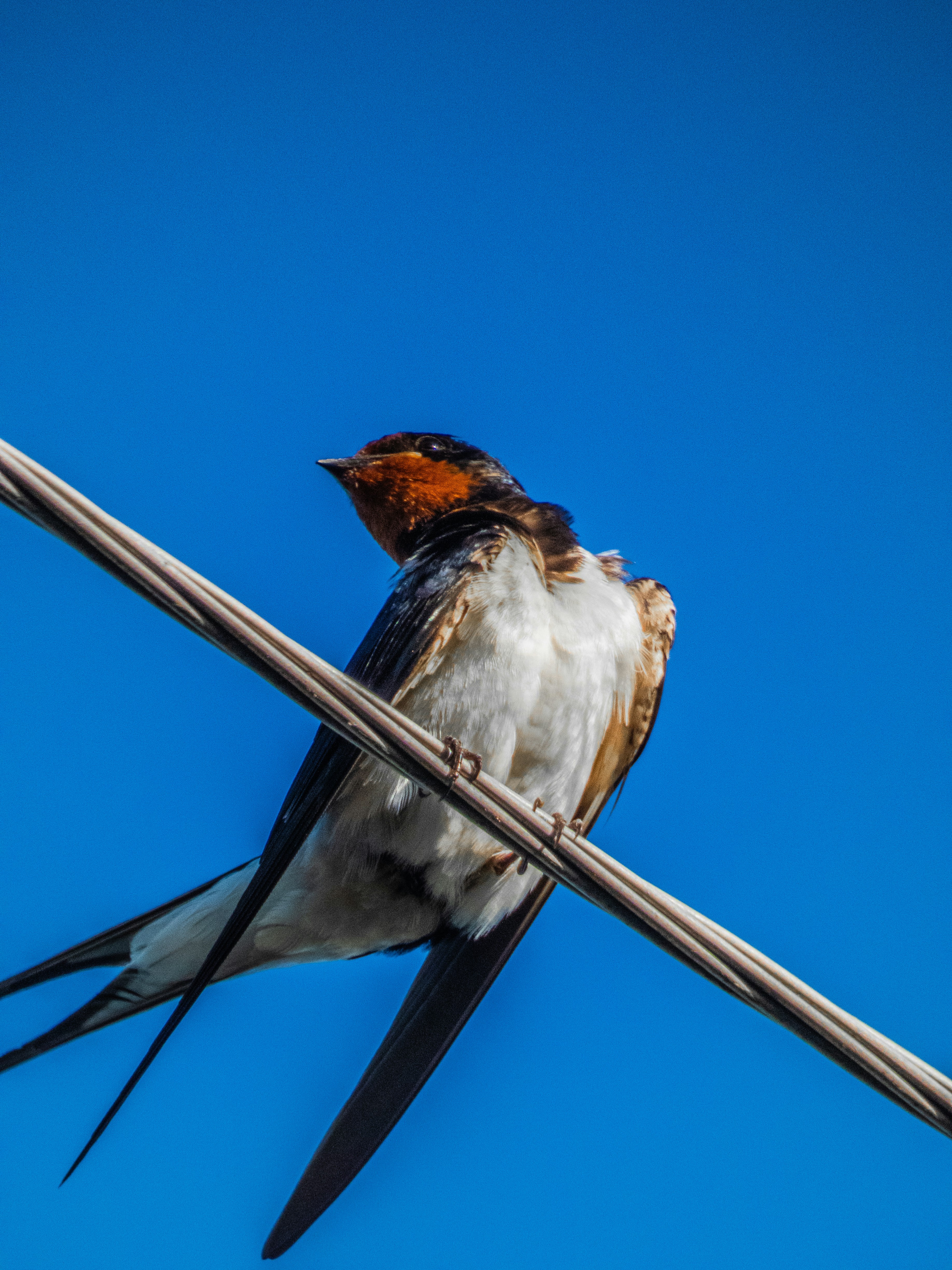 Photo by justmeandcamera